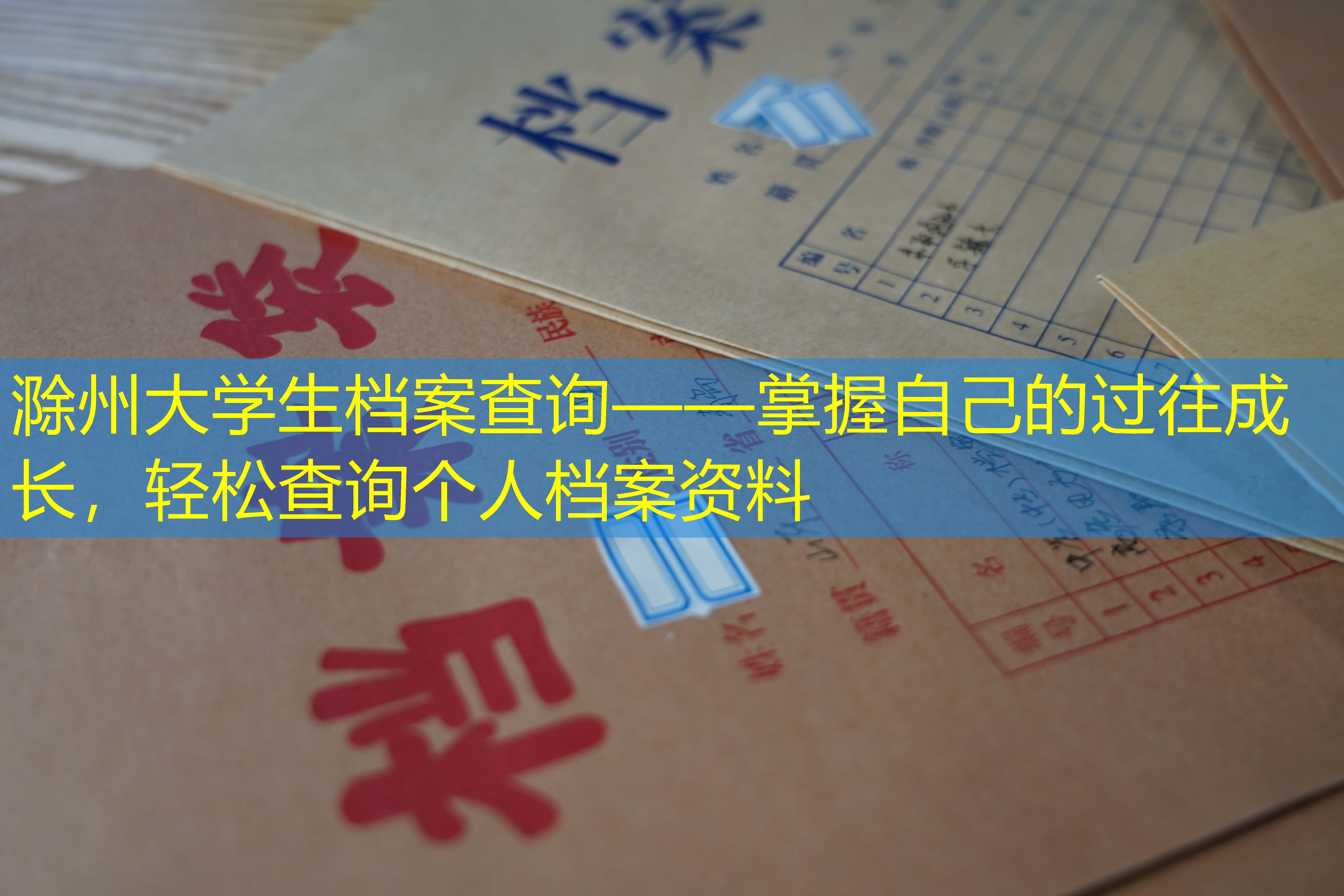 档案查询