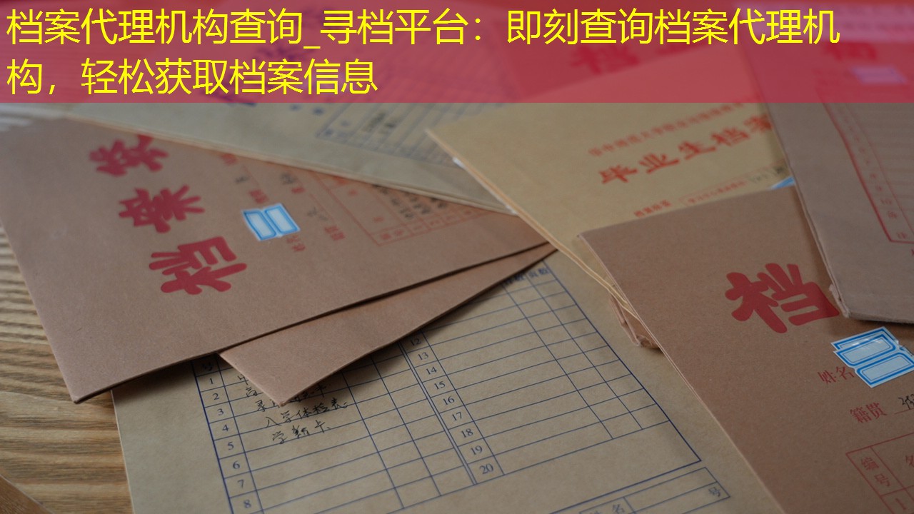档案查询