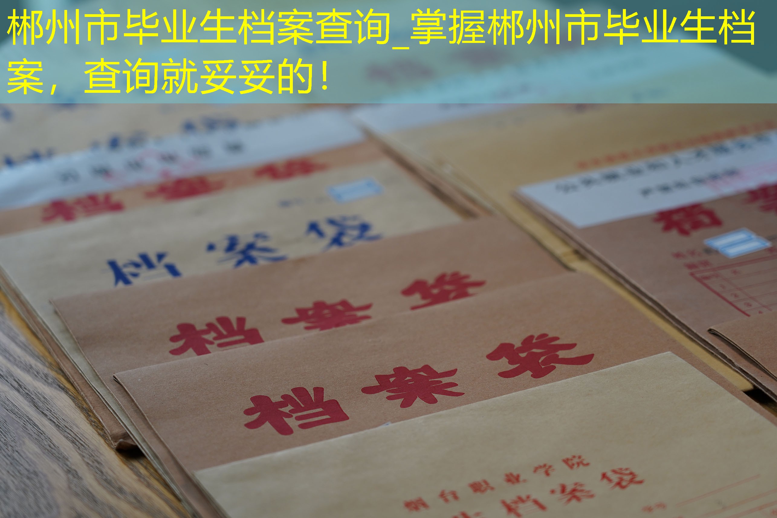 档案查询