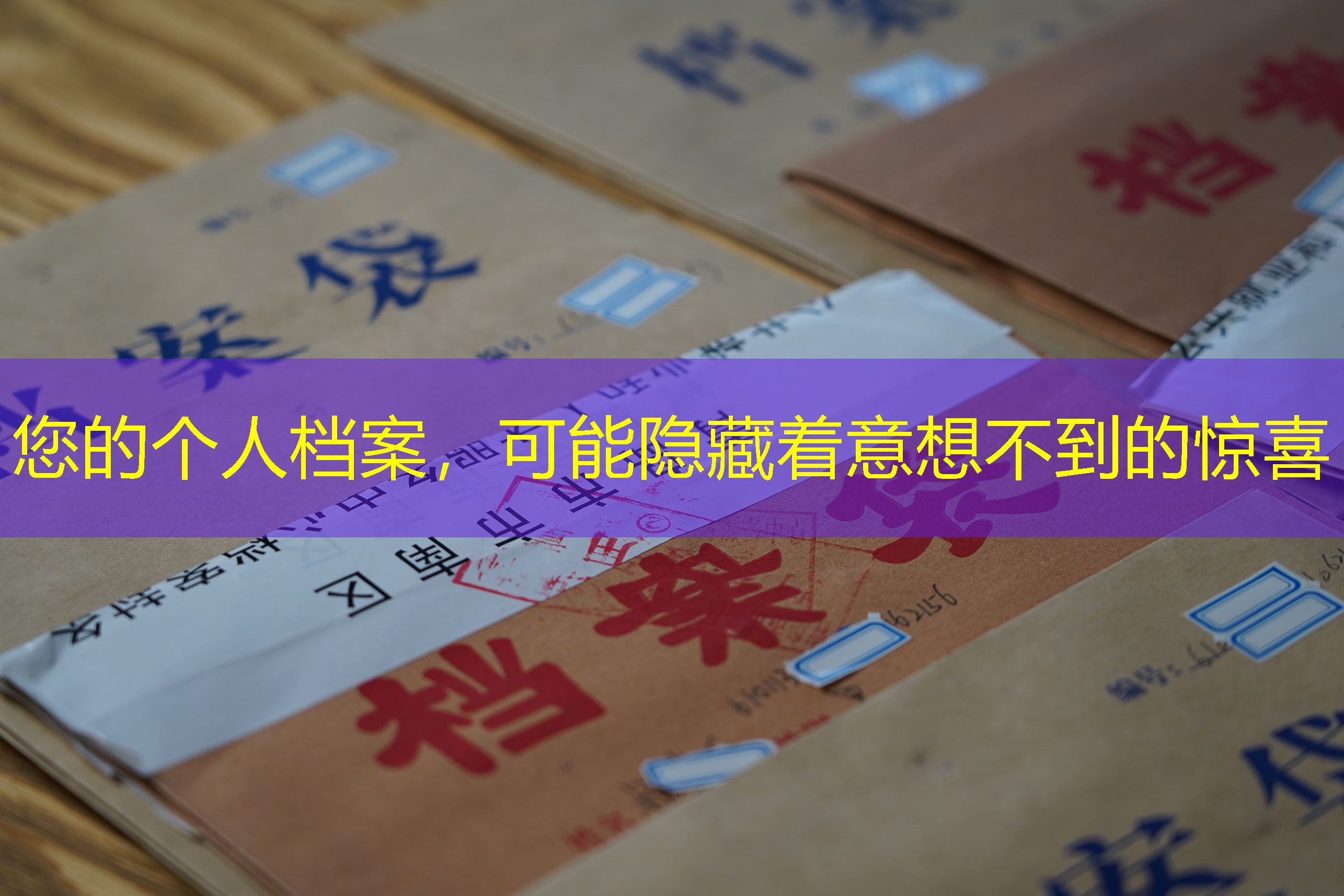 档案查询