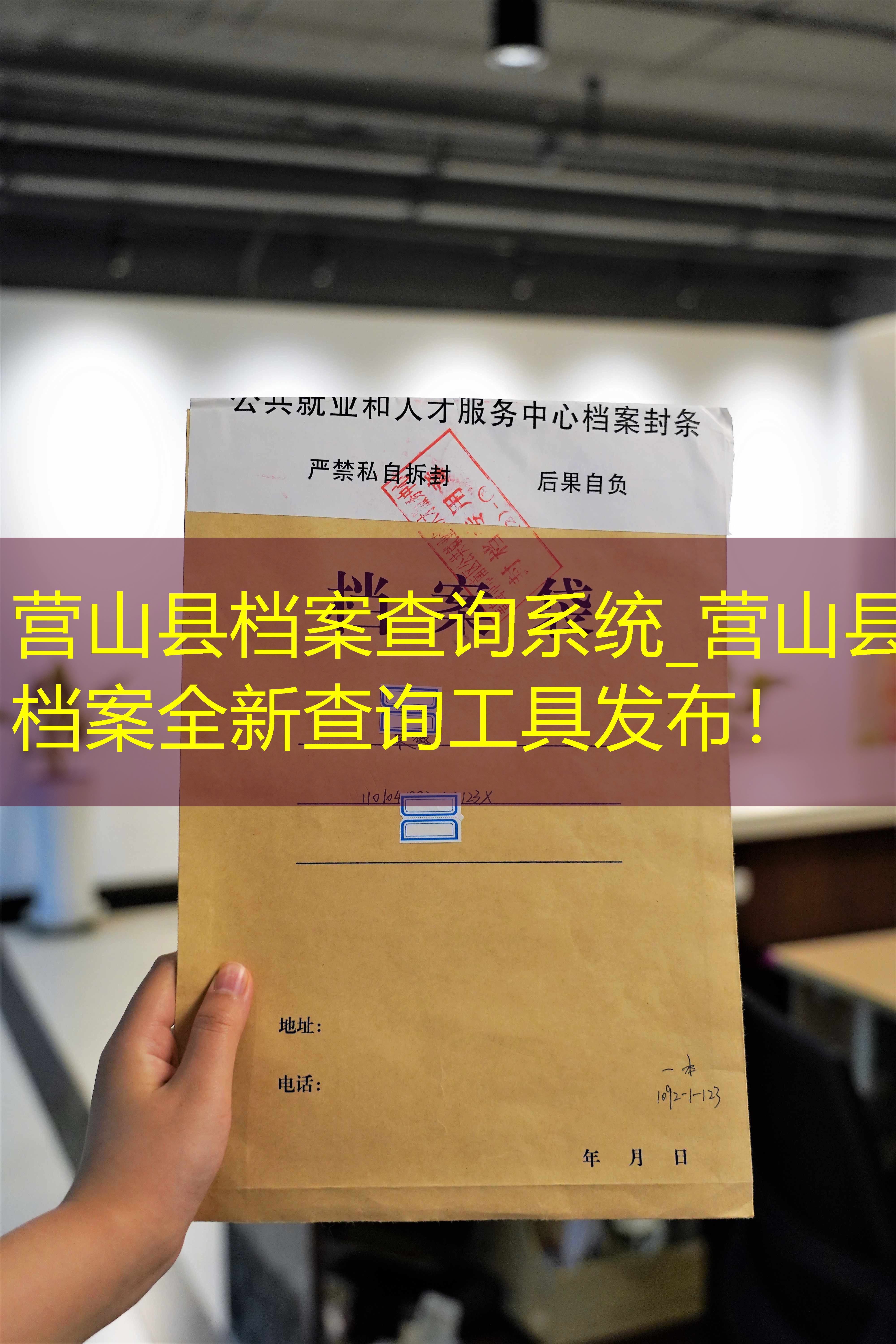 档案查询