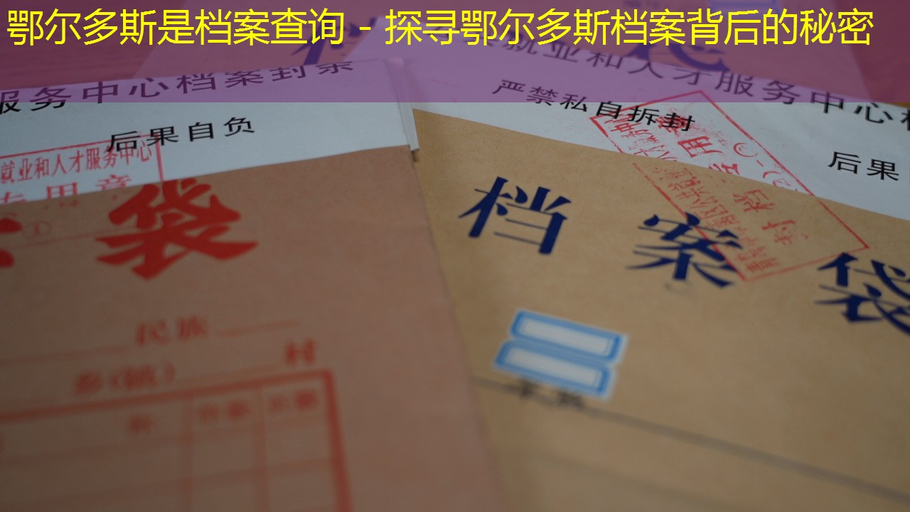 档案查询