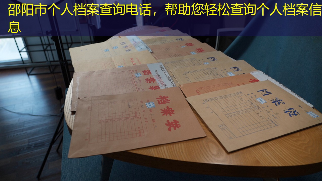 档案查询