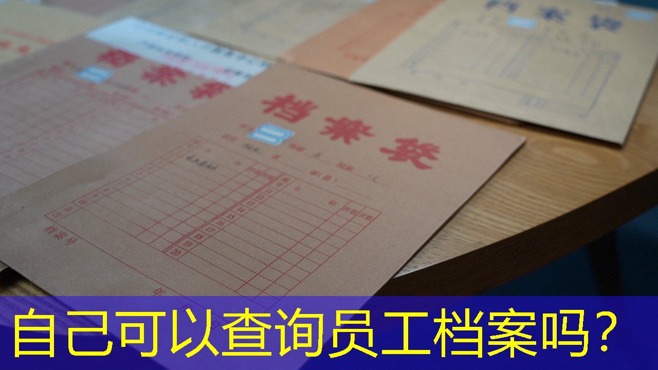 档案查询