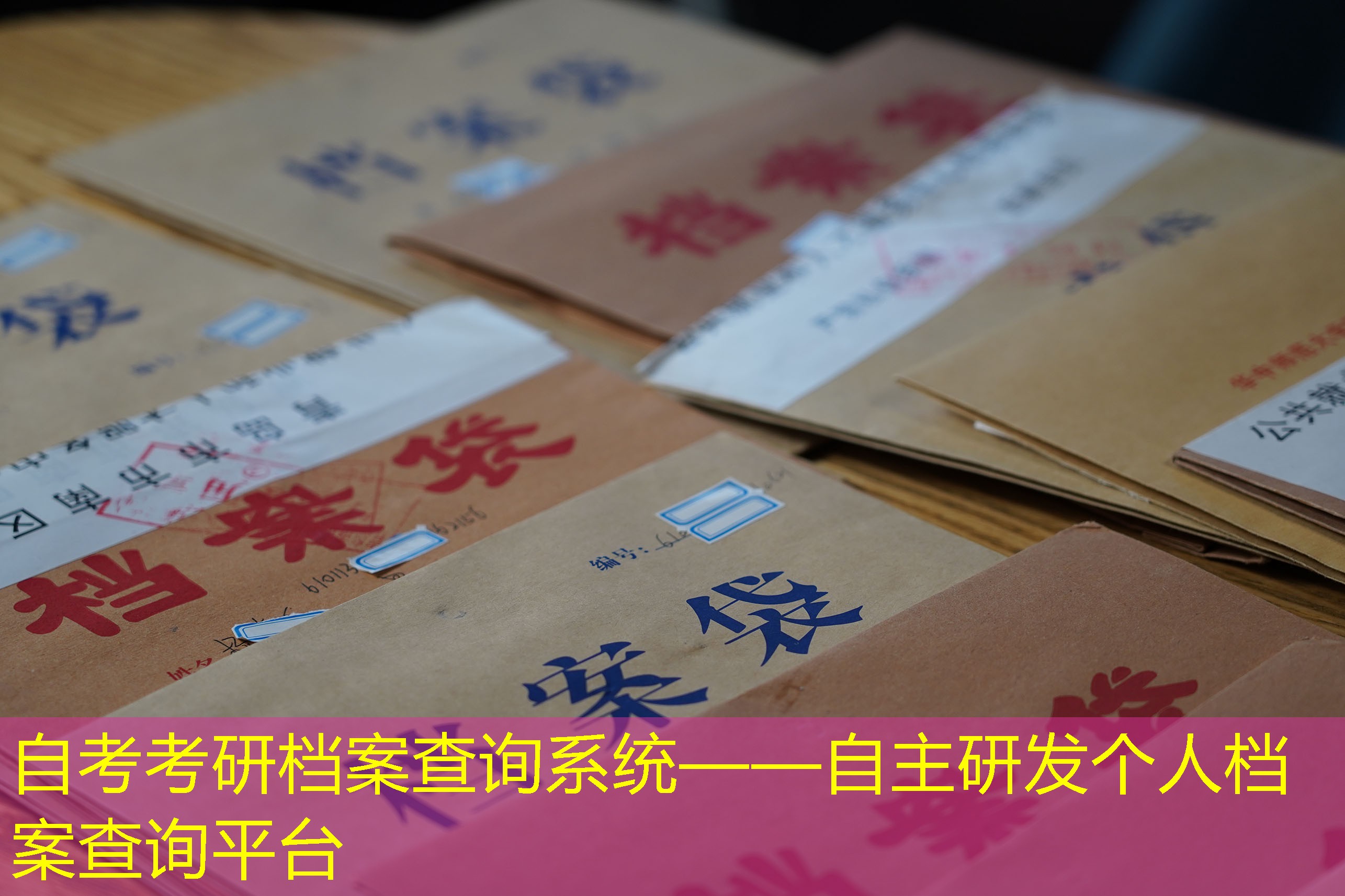 档案查询