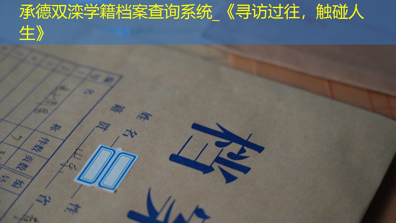 档案查询