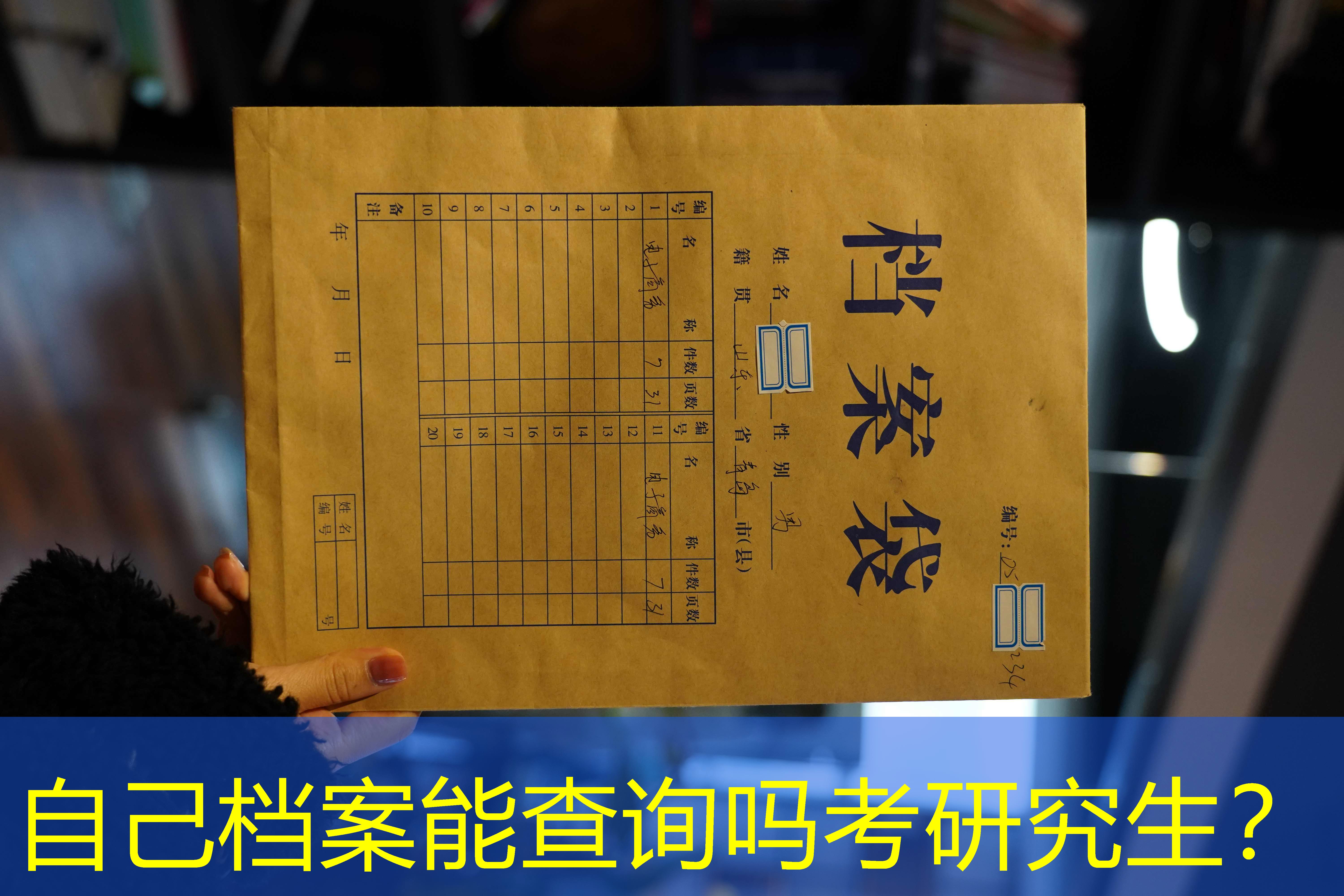 档案查询