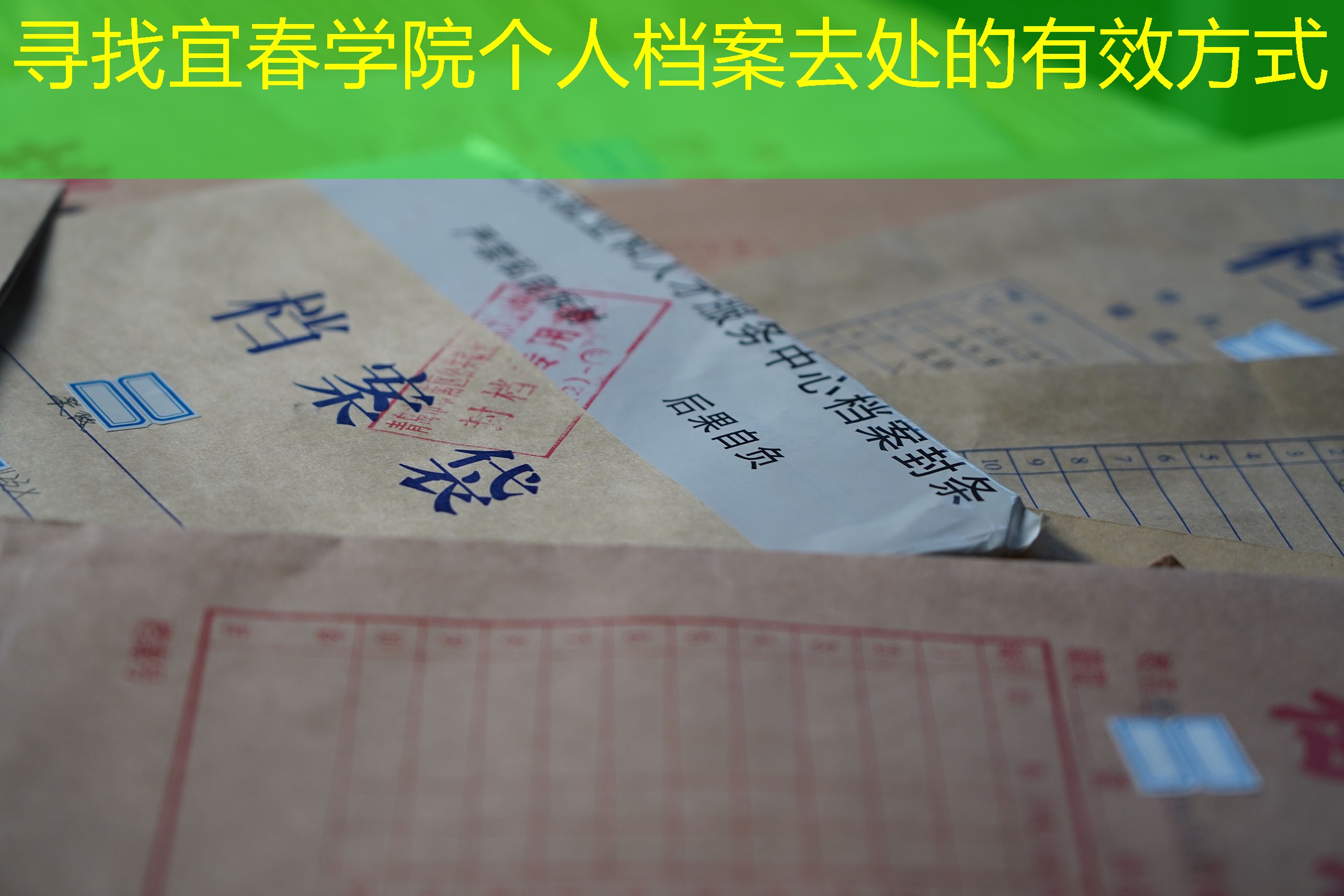 档案查询