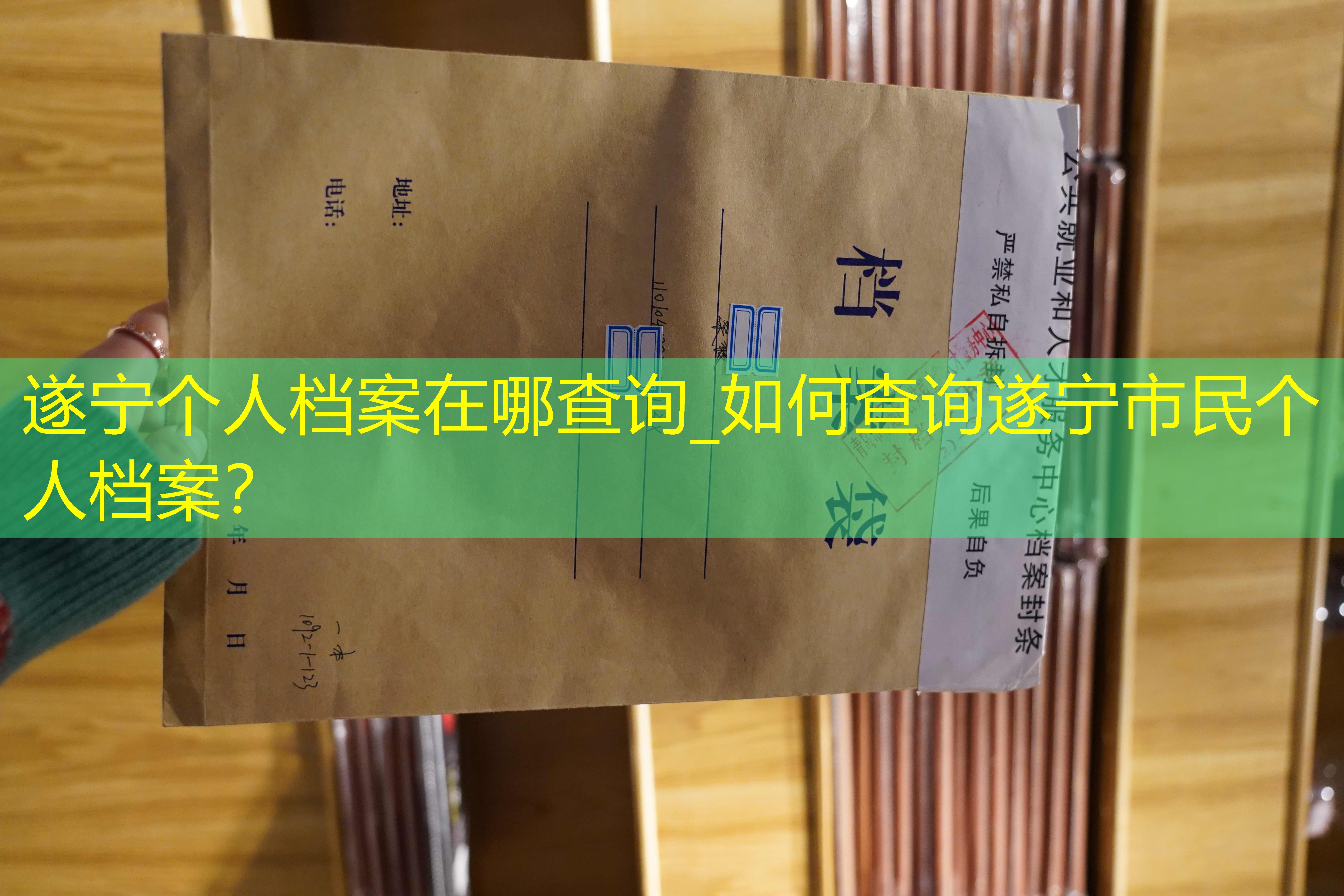 档案查询