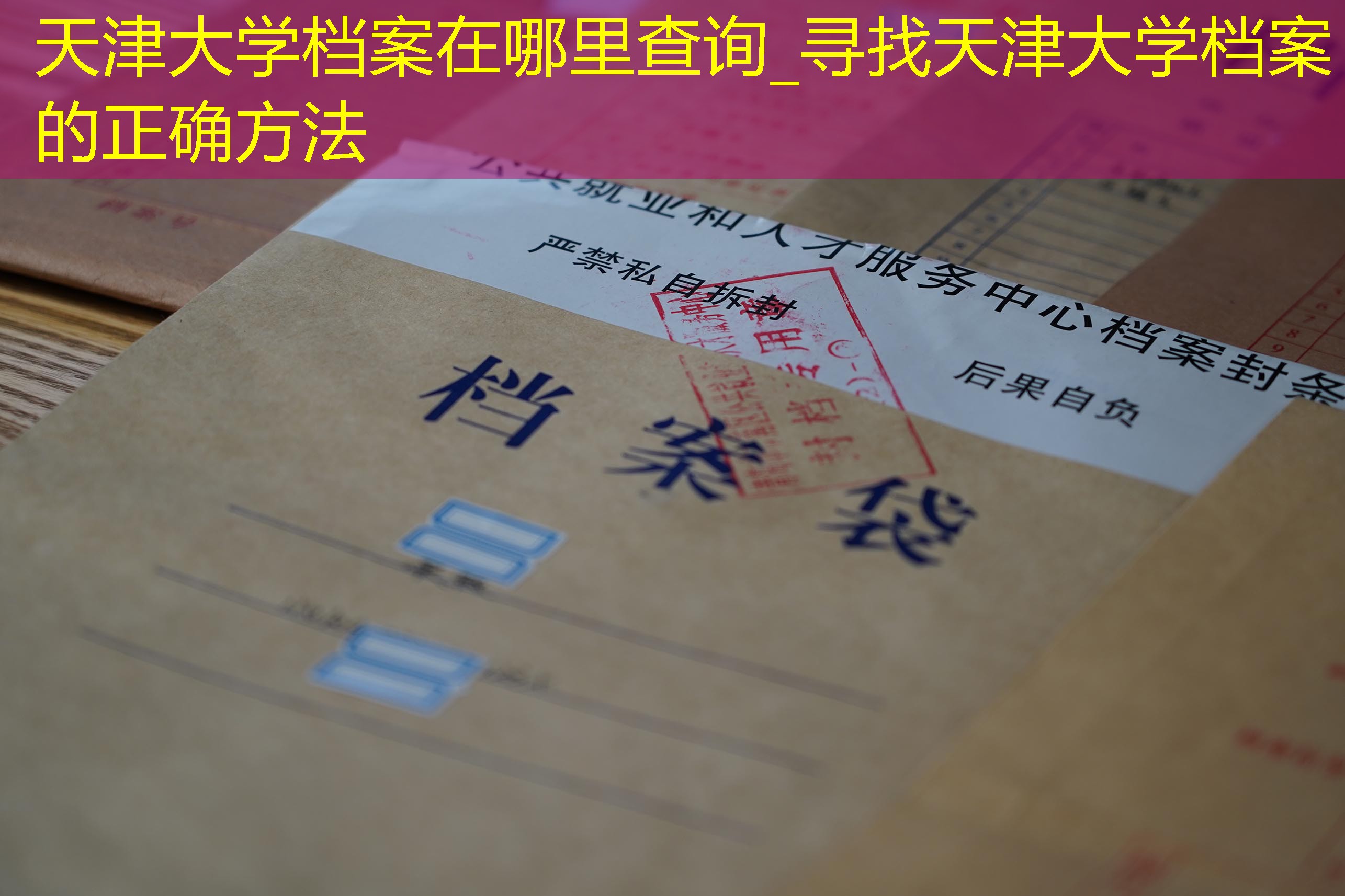档案查询