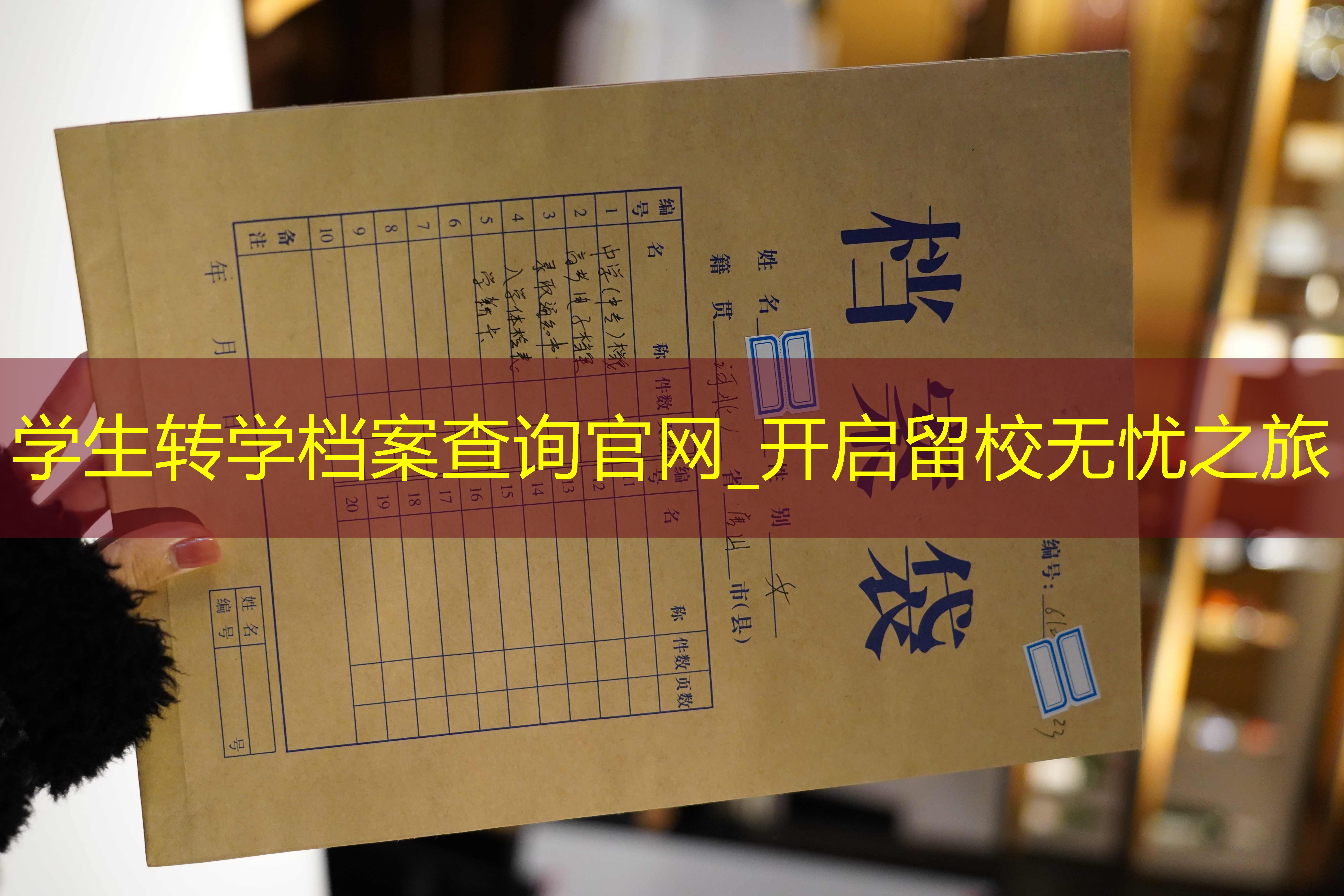 档案查询