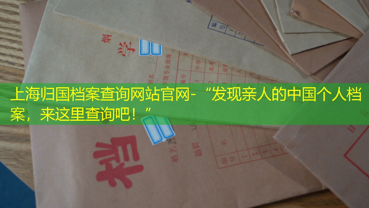 档案查询