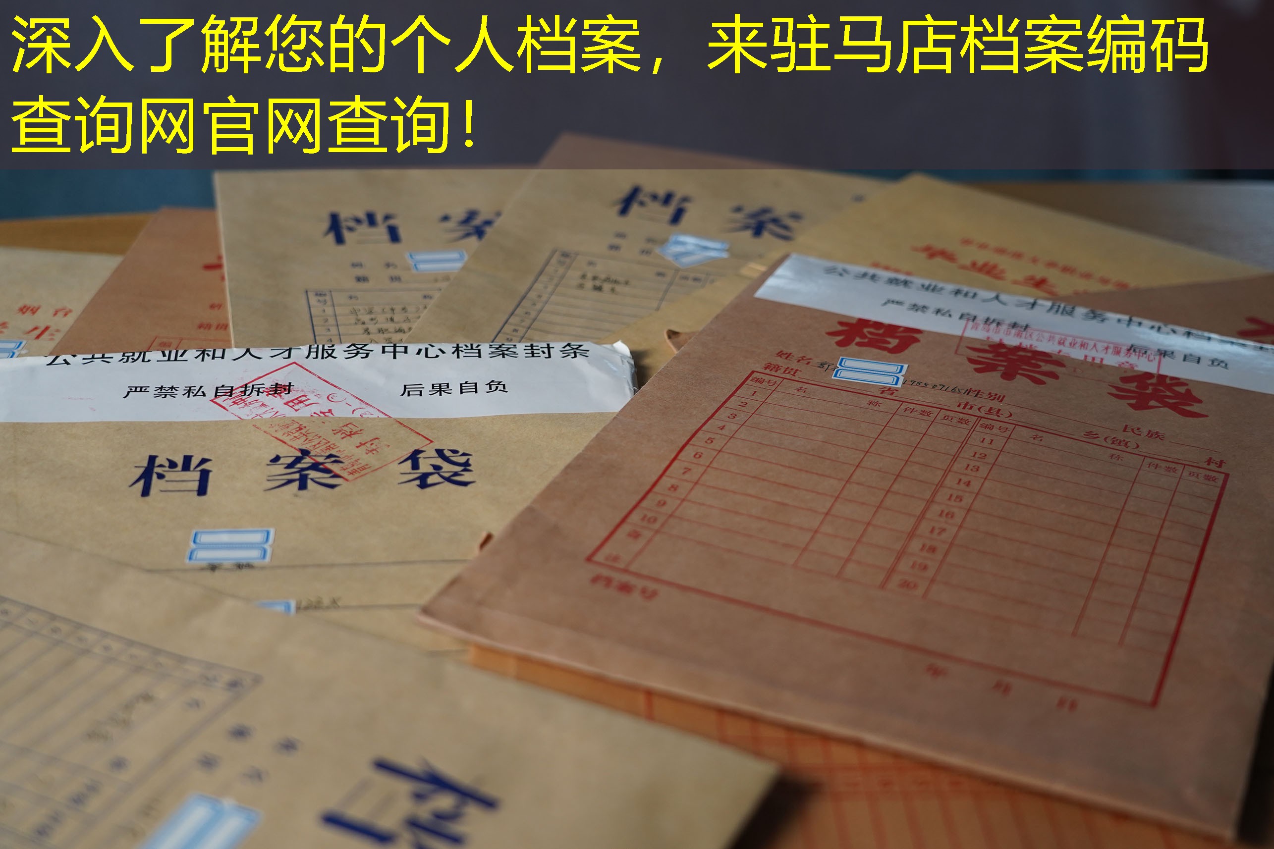 档案查询
