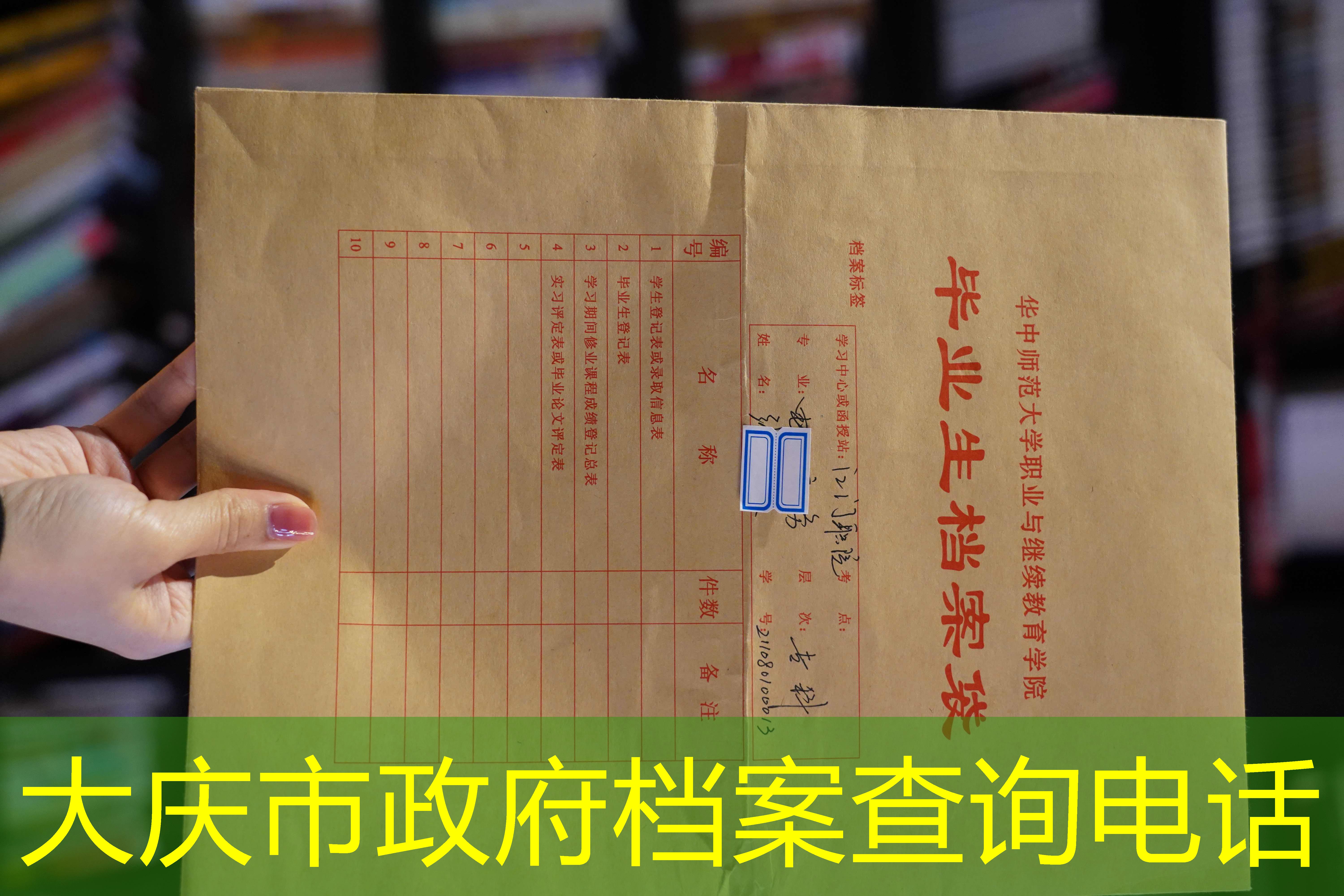 档案查询