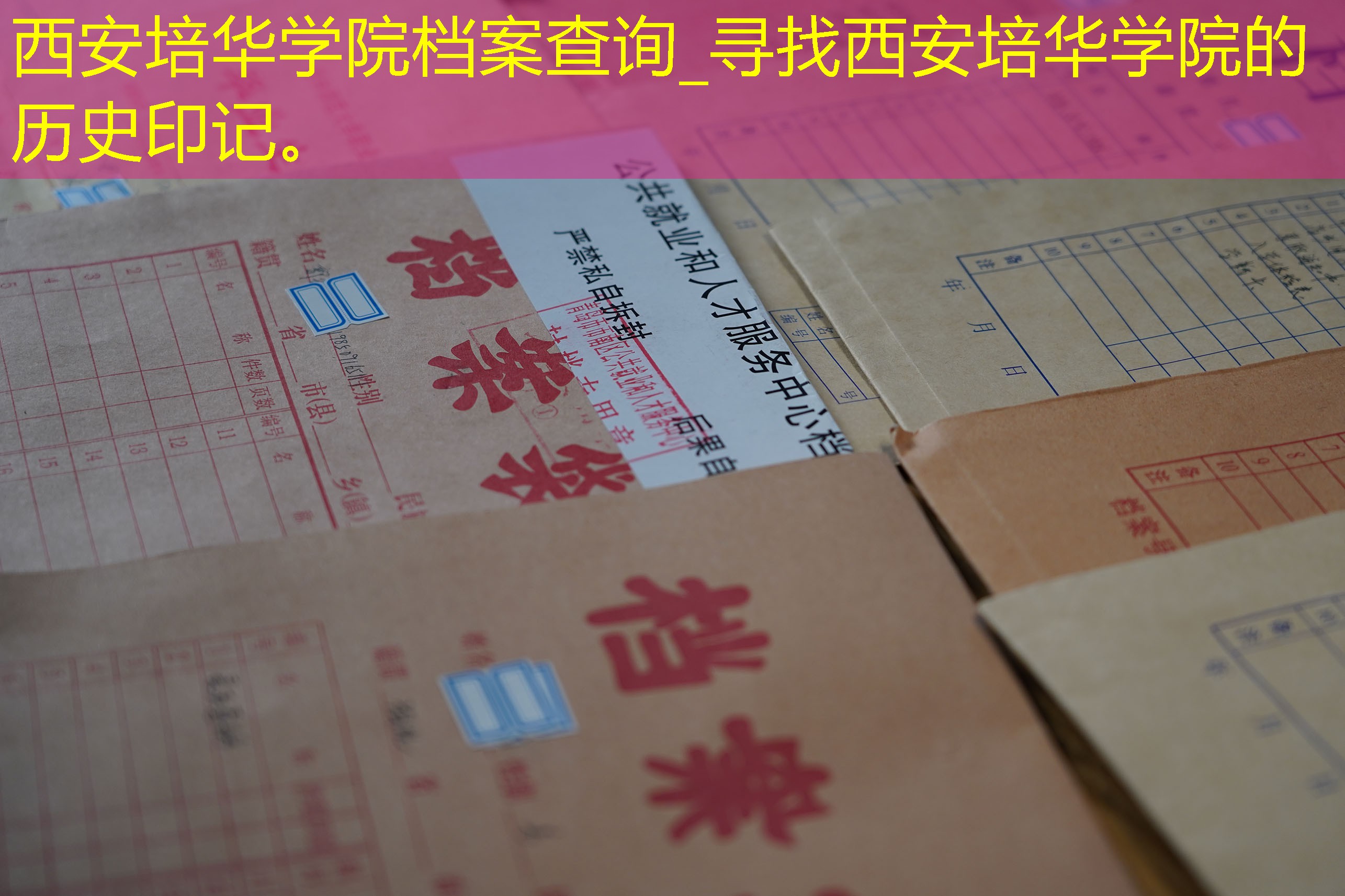 档案查询