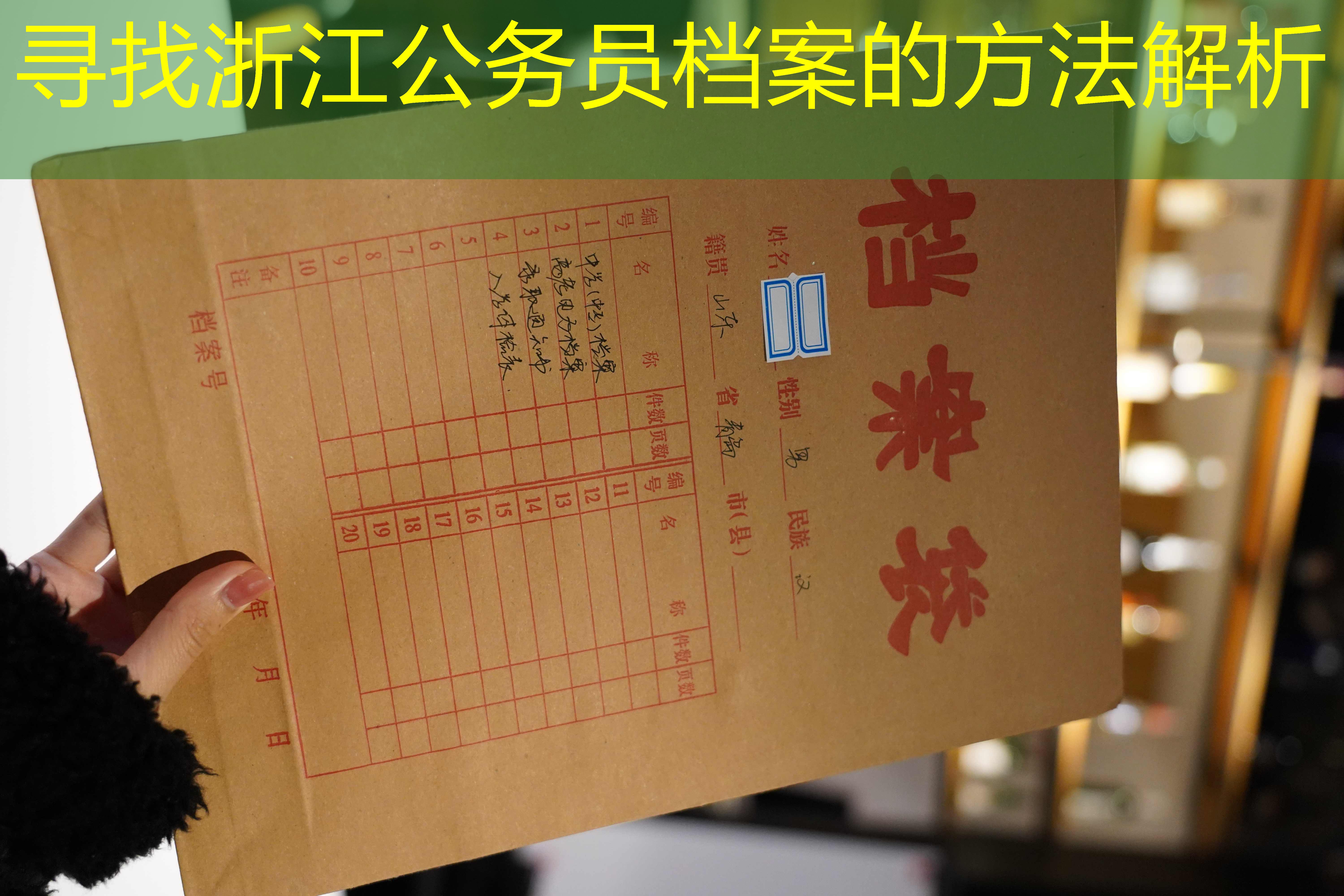 档案查询