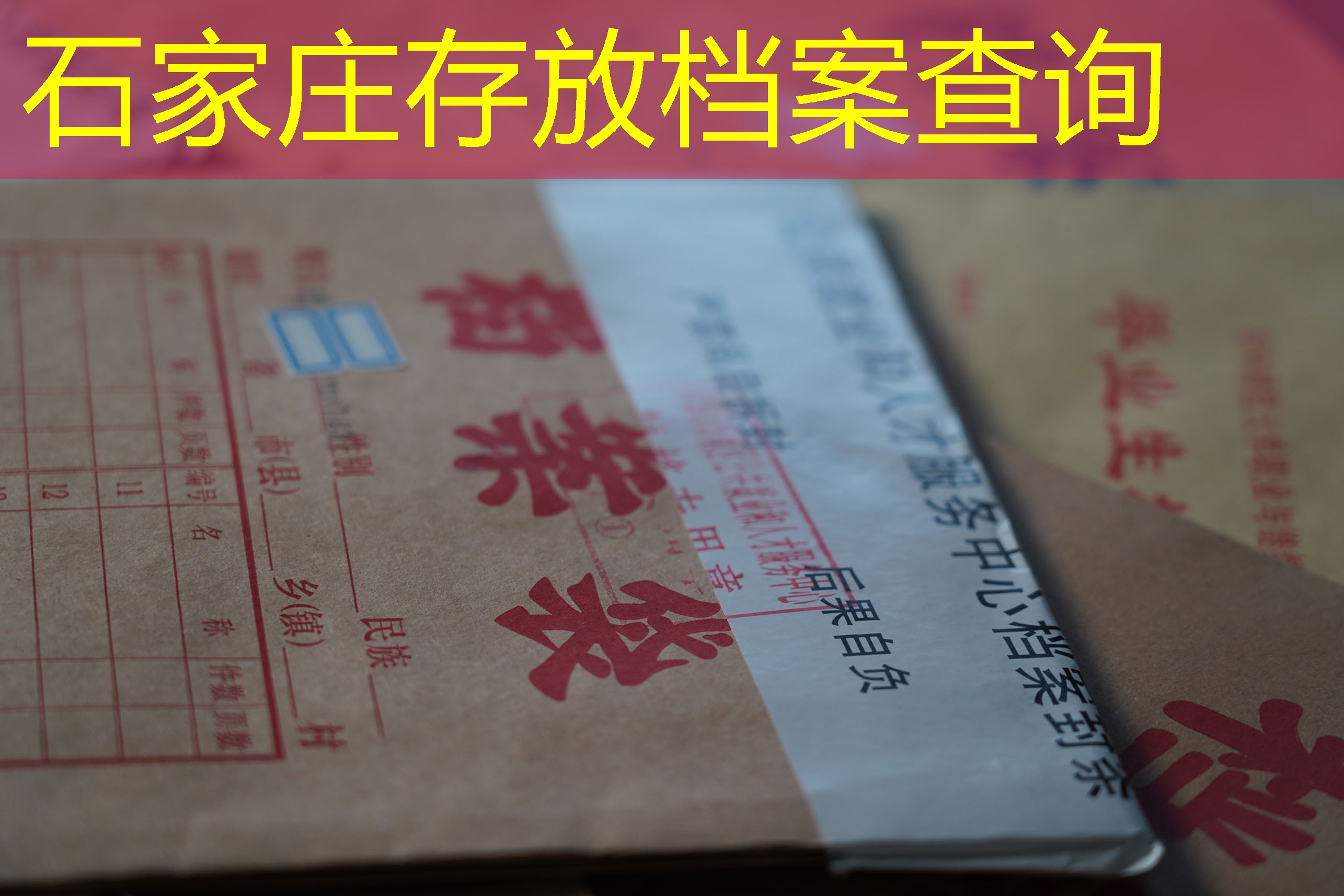 档案查询