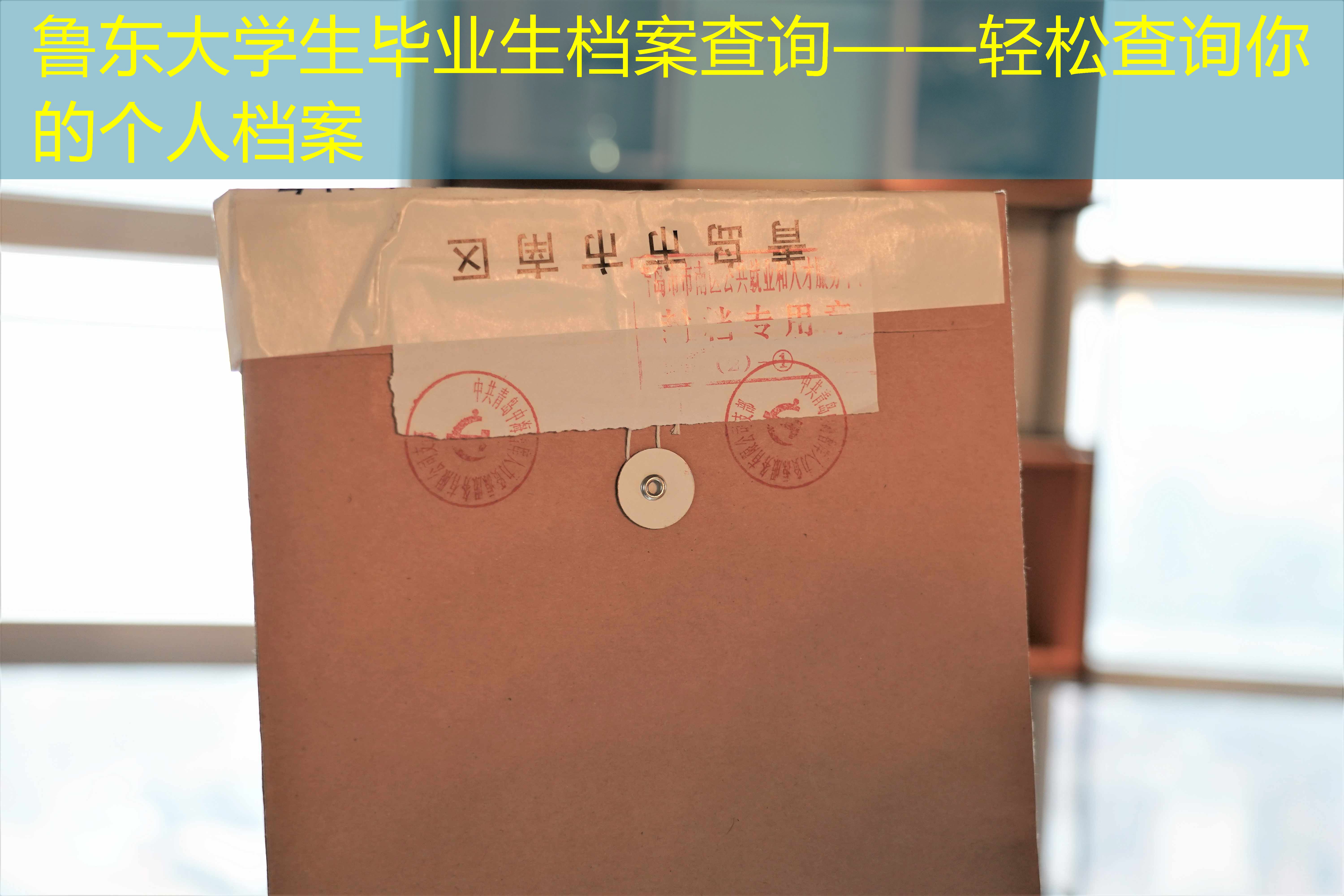 档案查询
