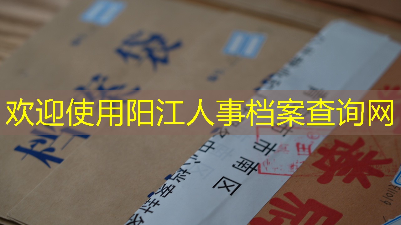 档案查询