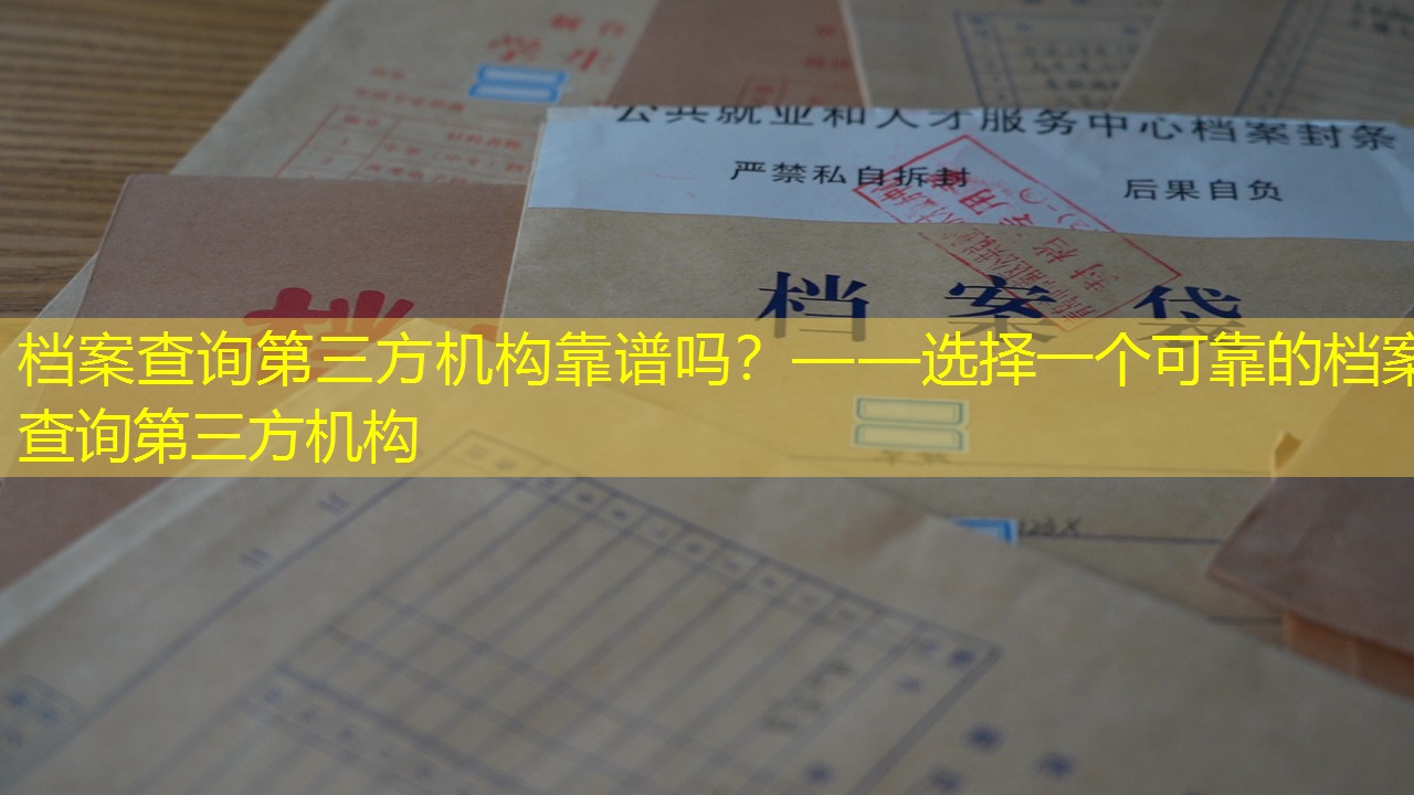 档案查询