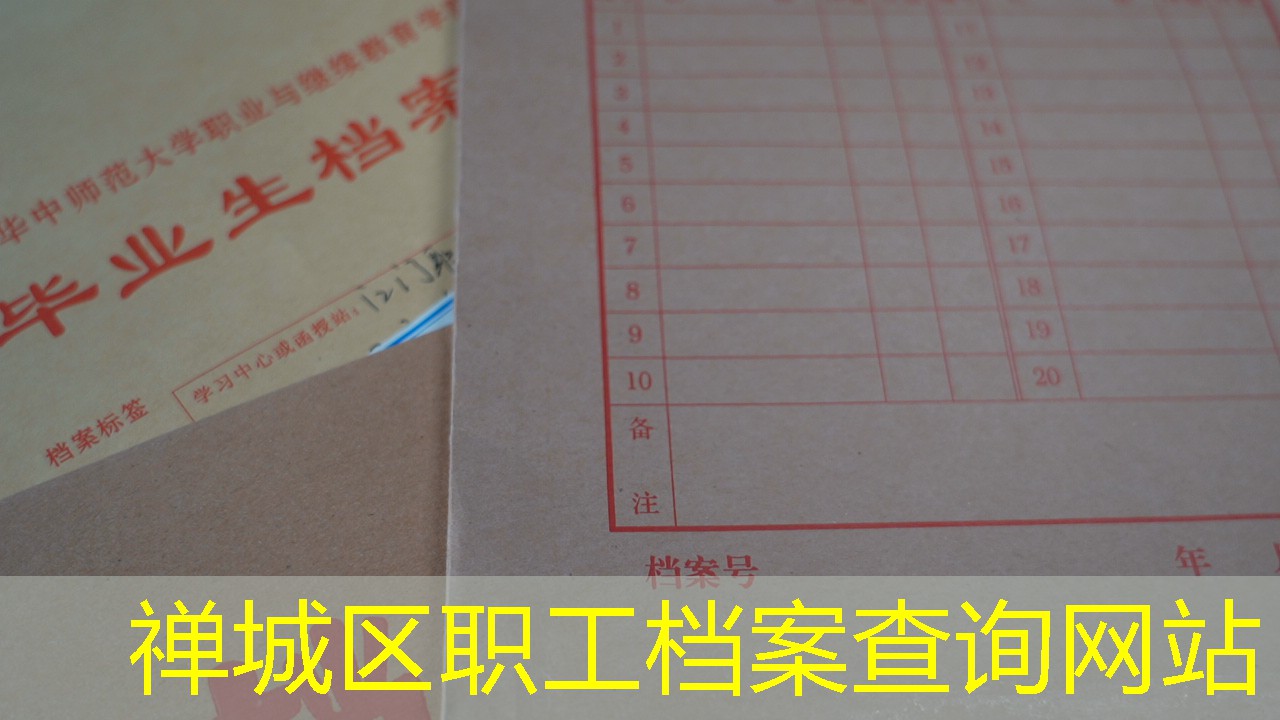 档案查询