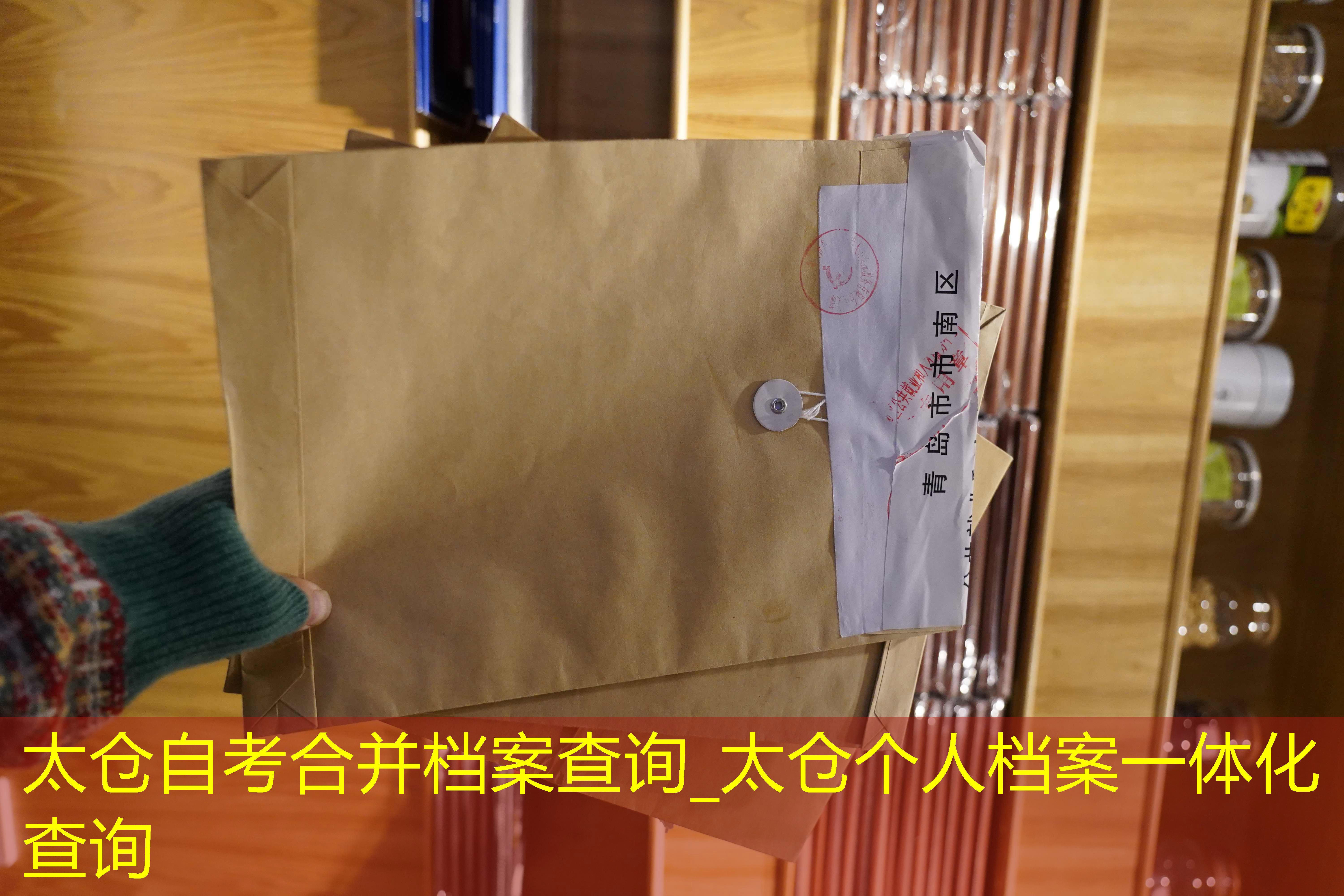 档案查询