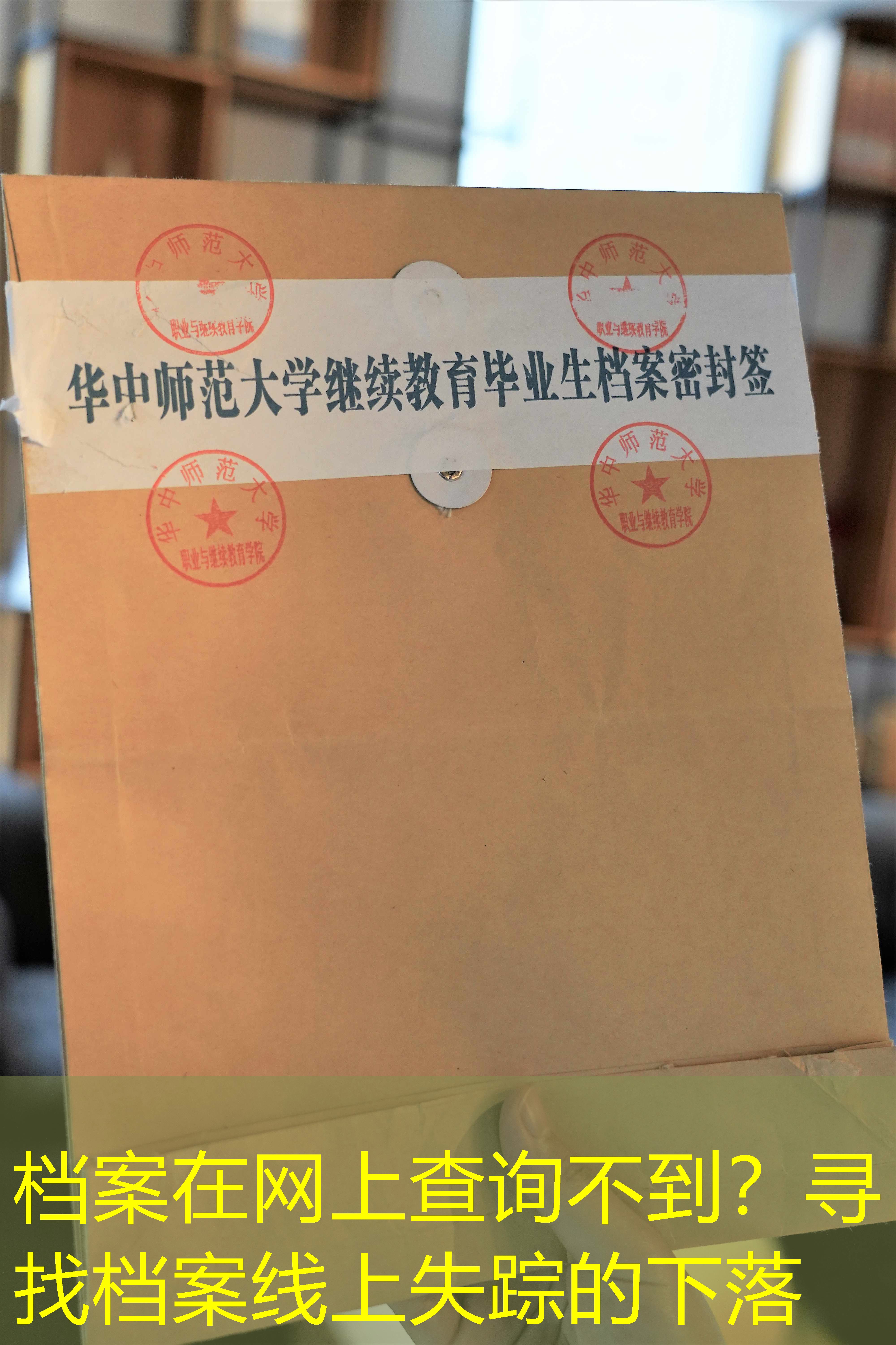 档案查询