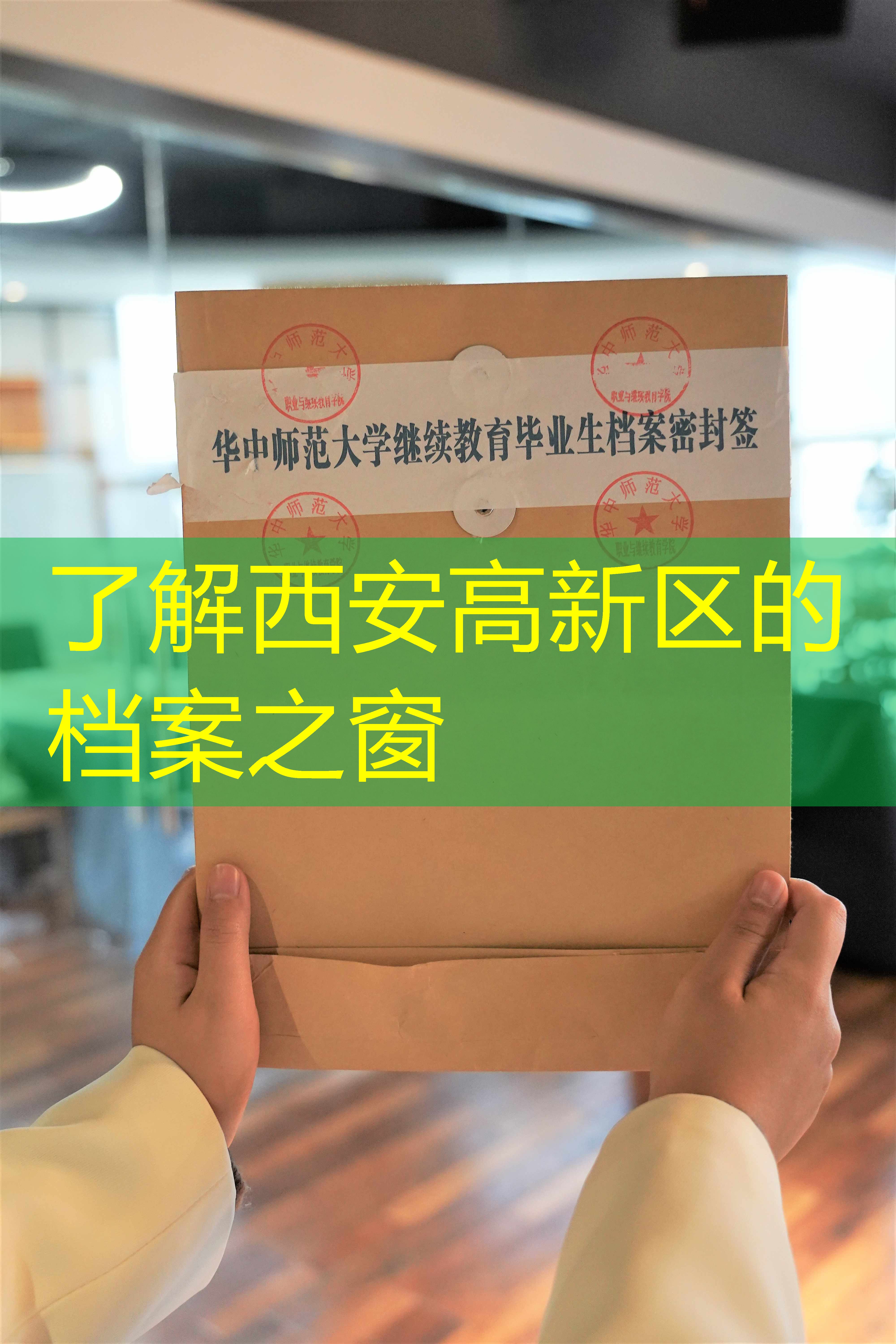 档案查询