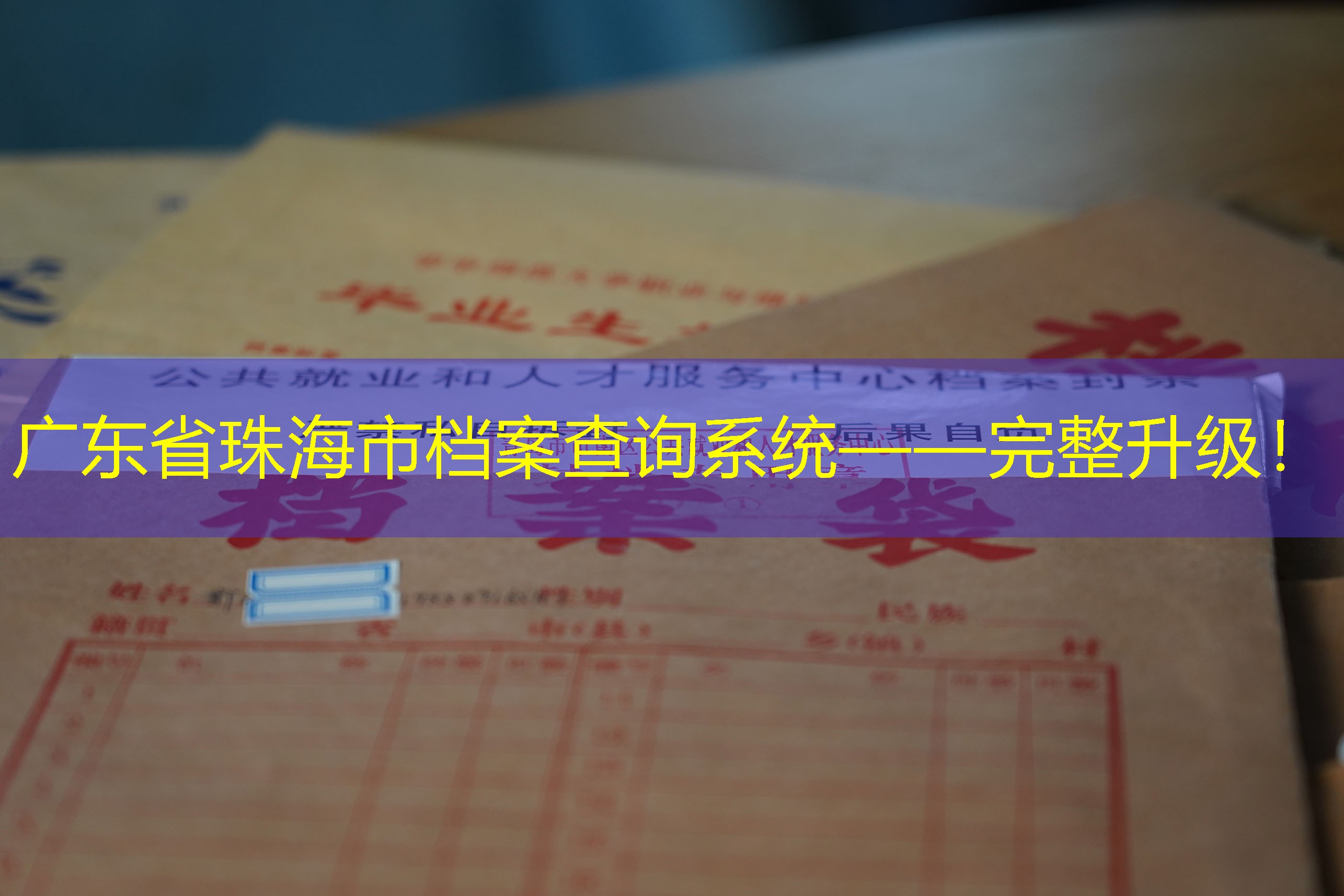 档案查询