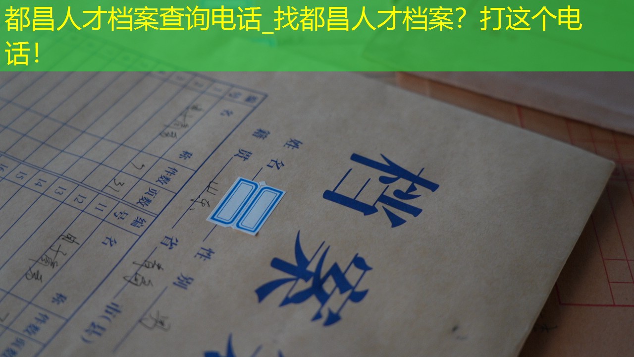 档案查询