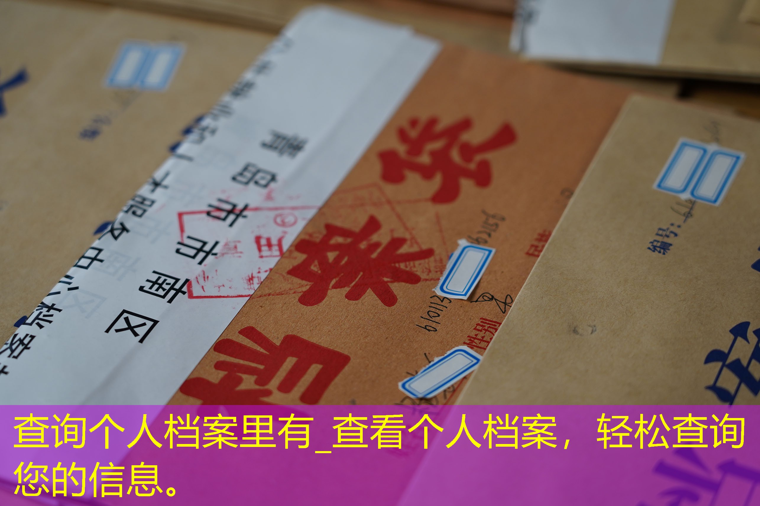 档案查询