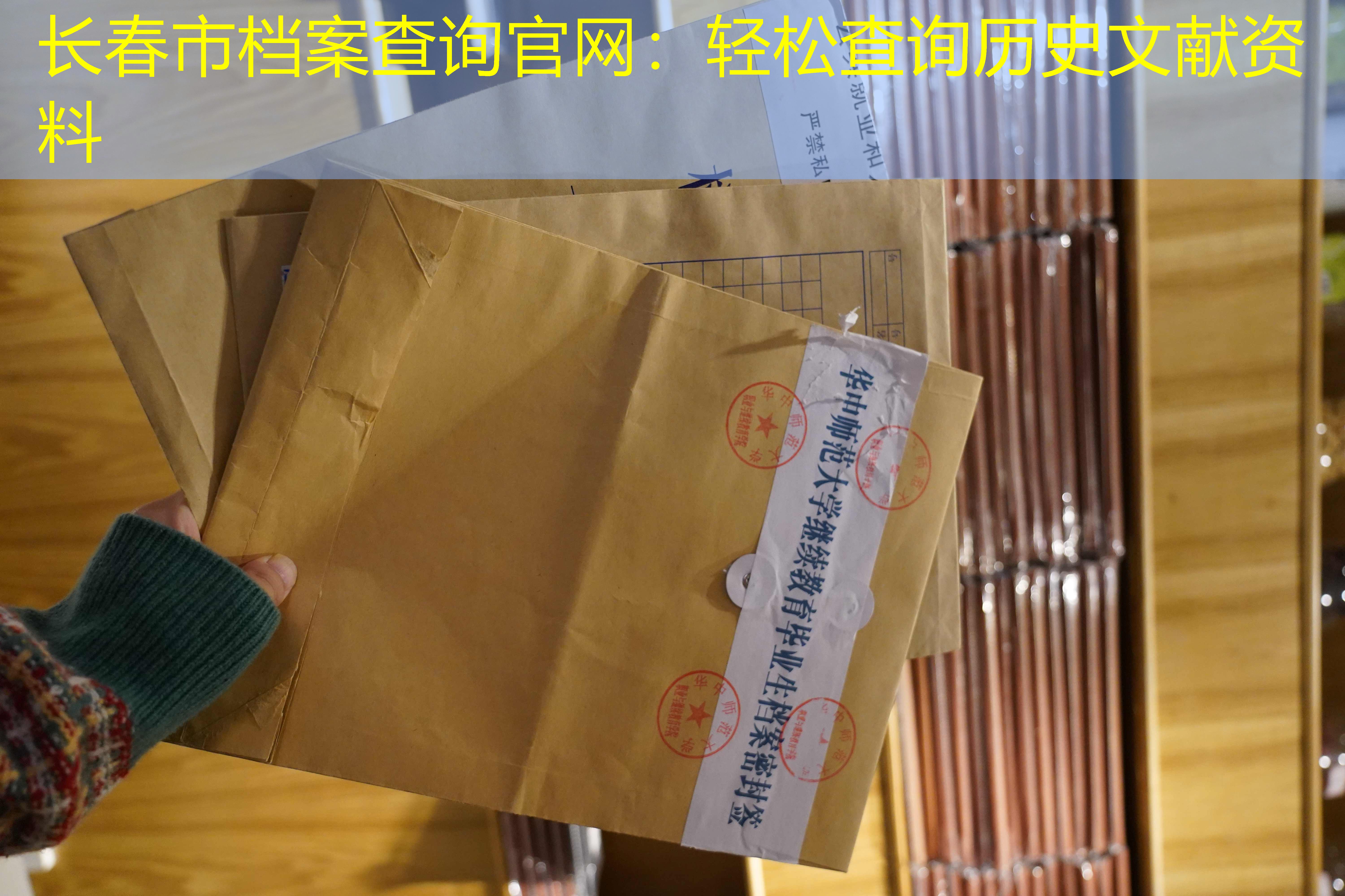 档案查询
