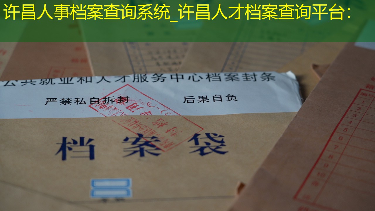 档案查询