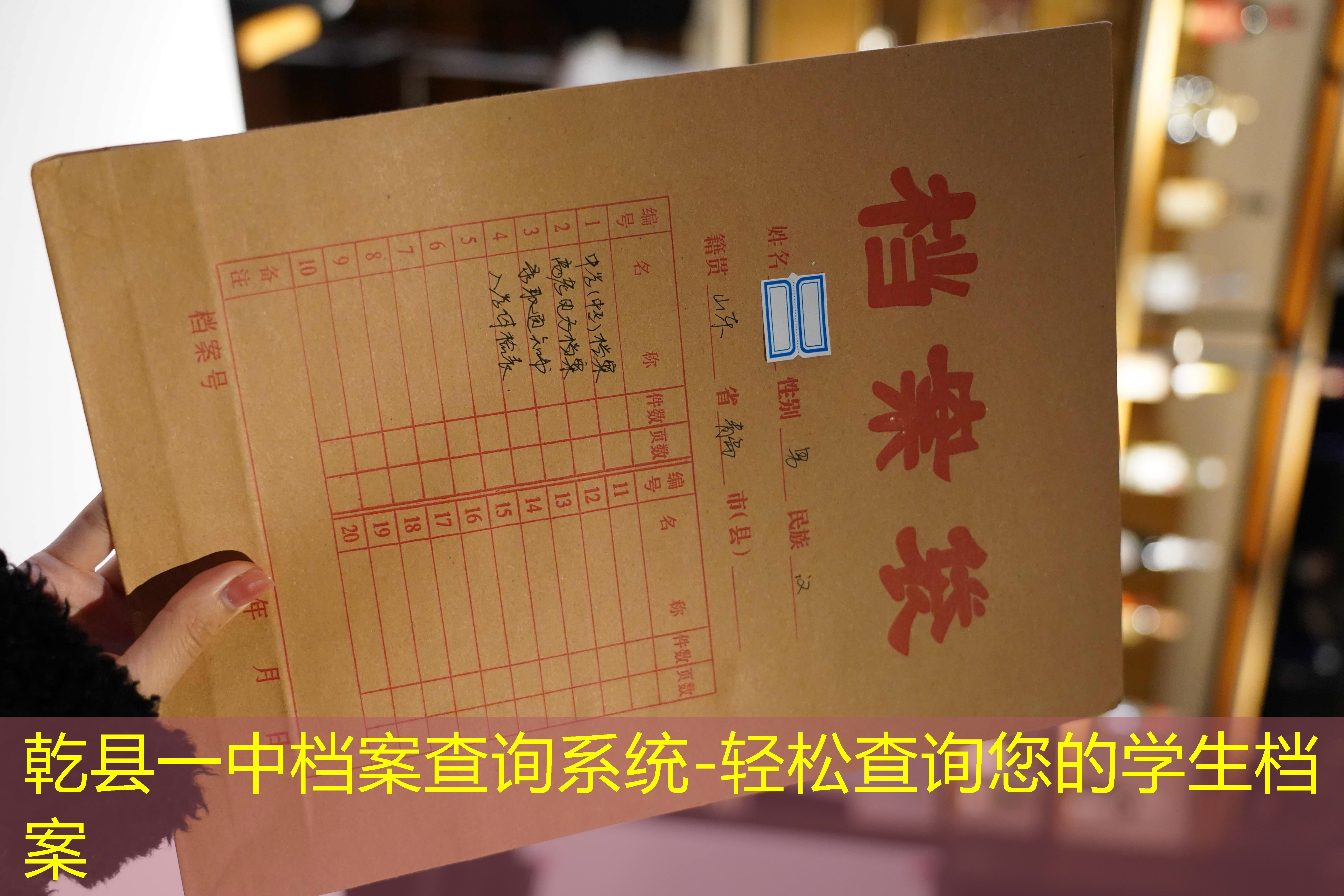 档案查询