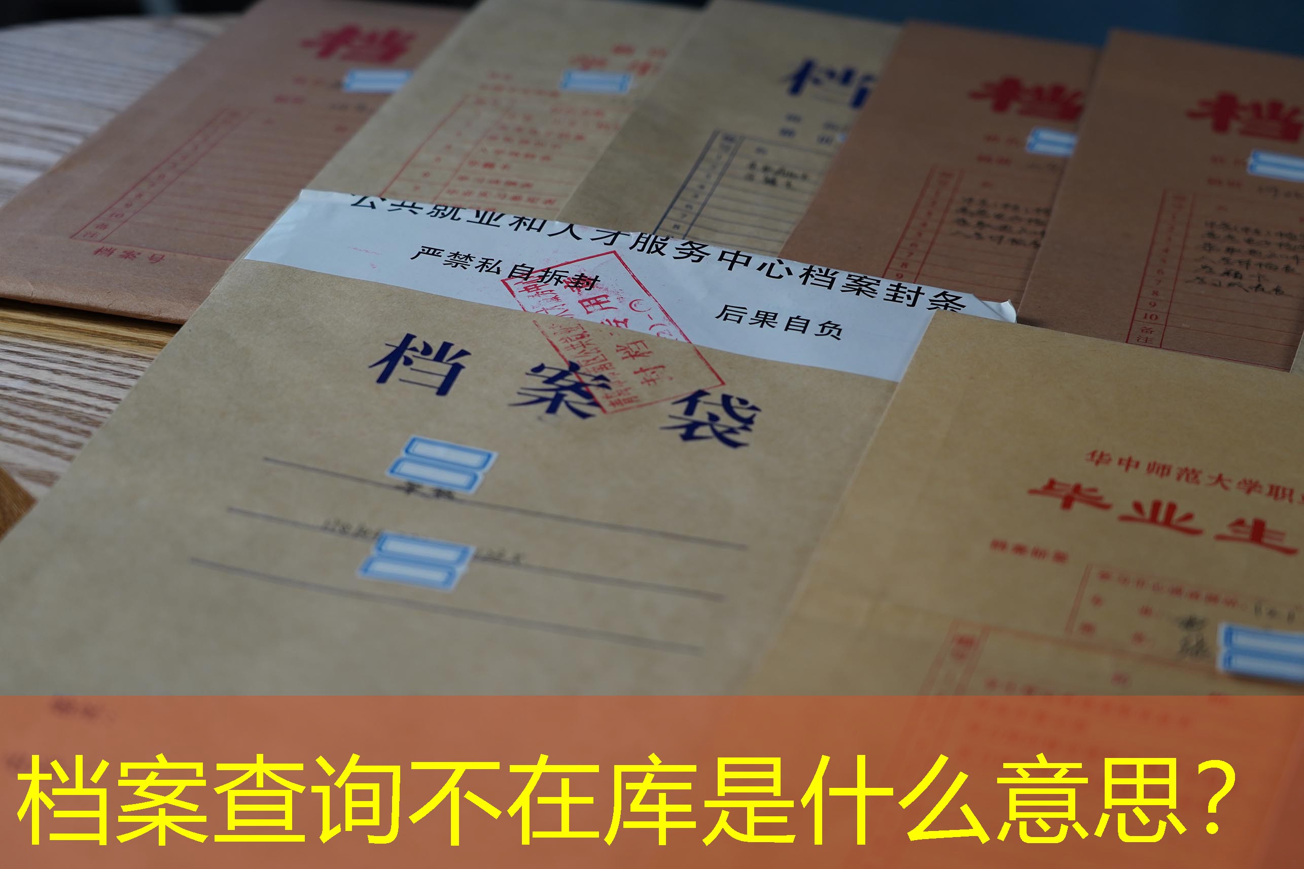 档案查询