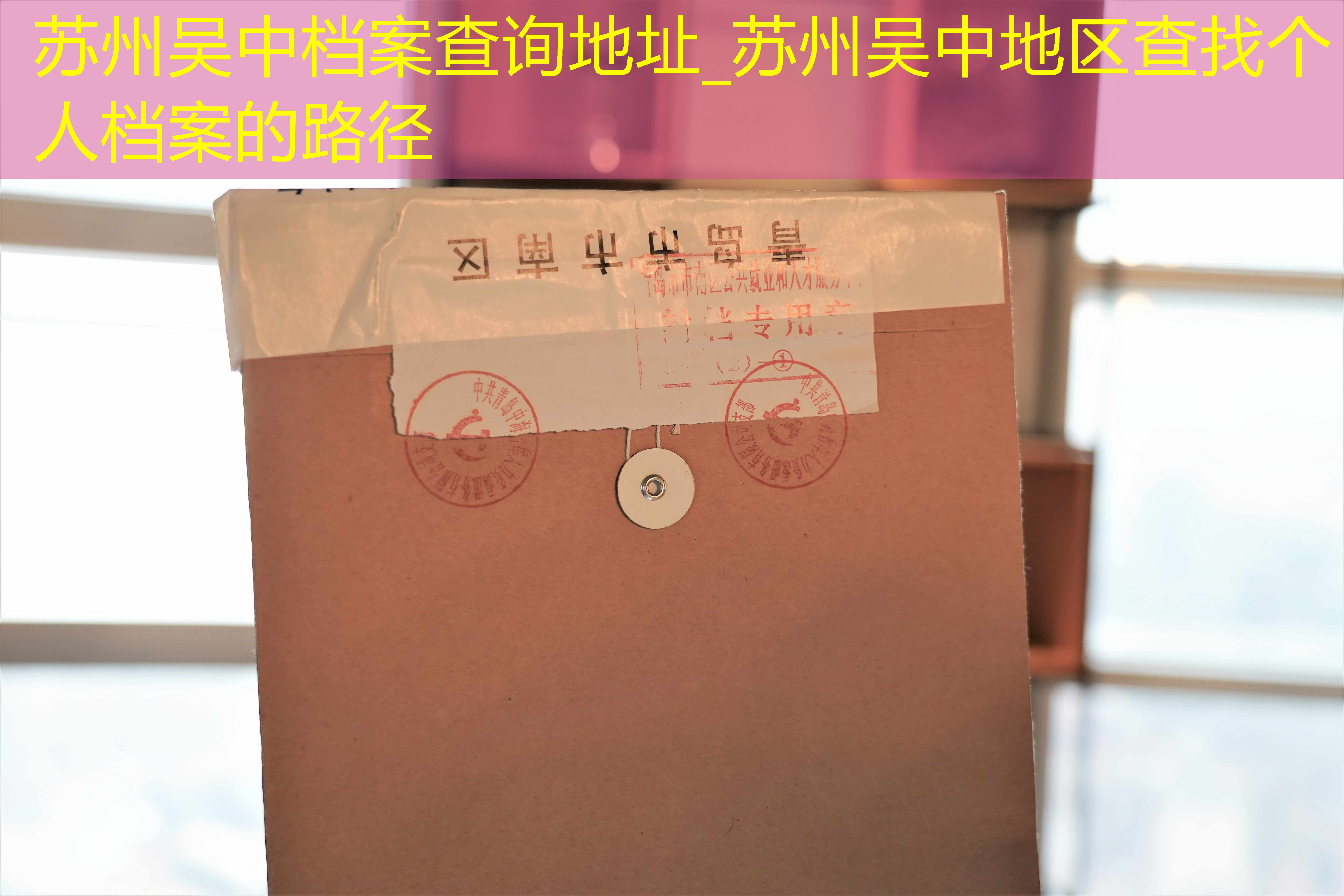 档案查询