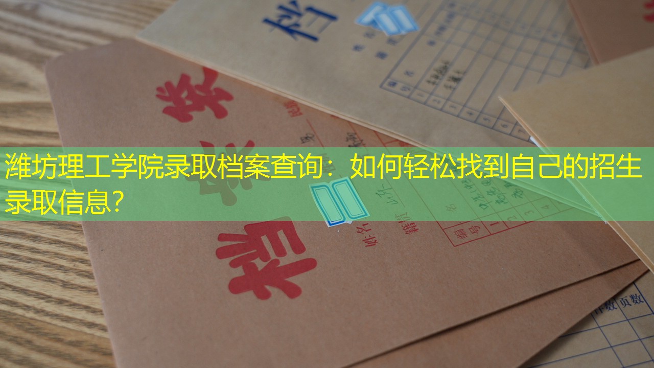 档案查询