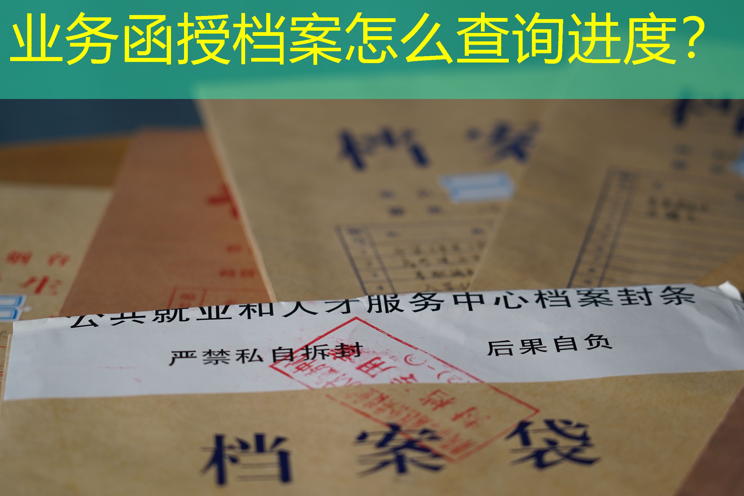 档案查询