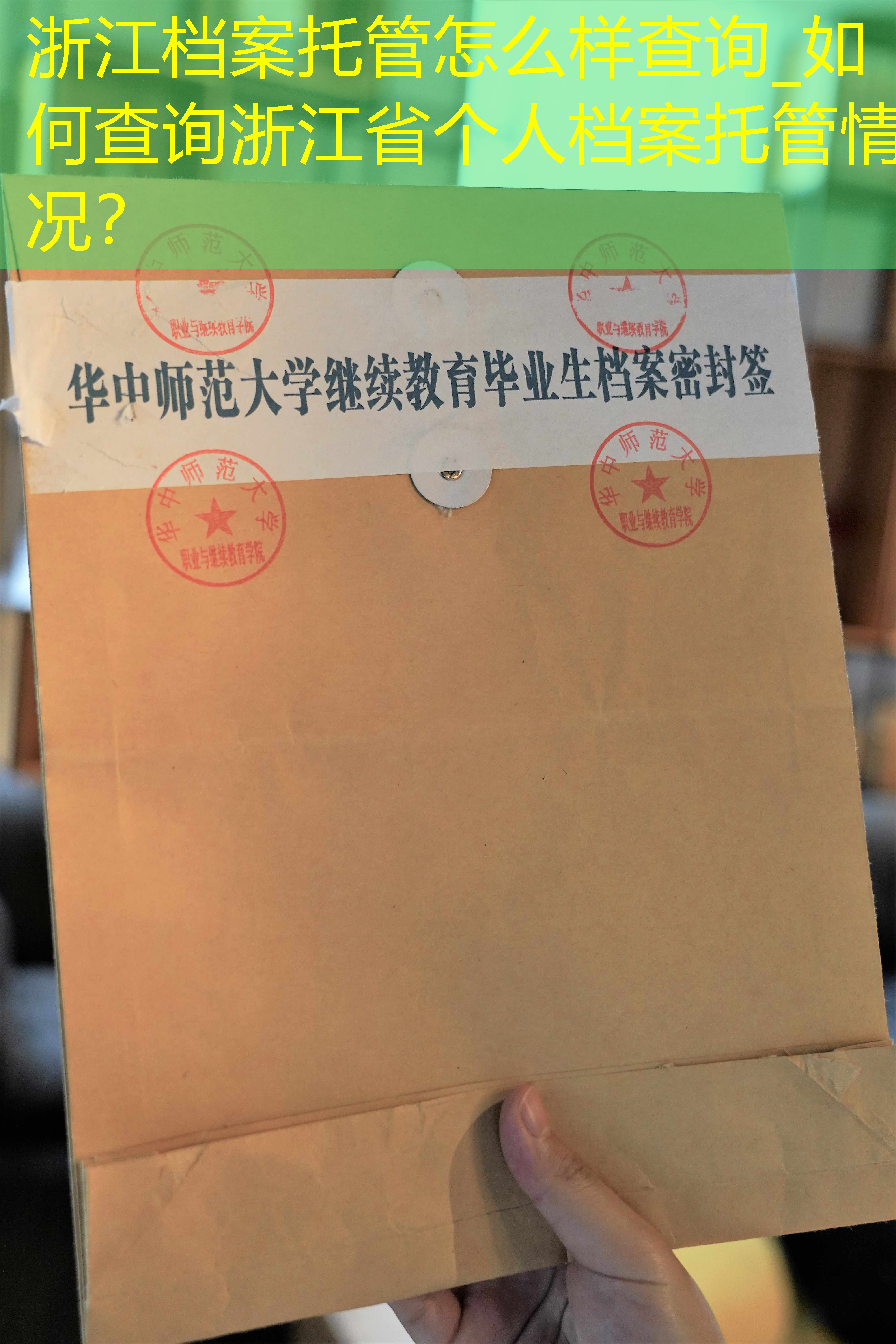 档案查询