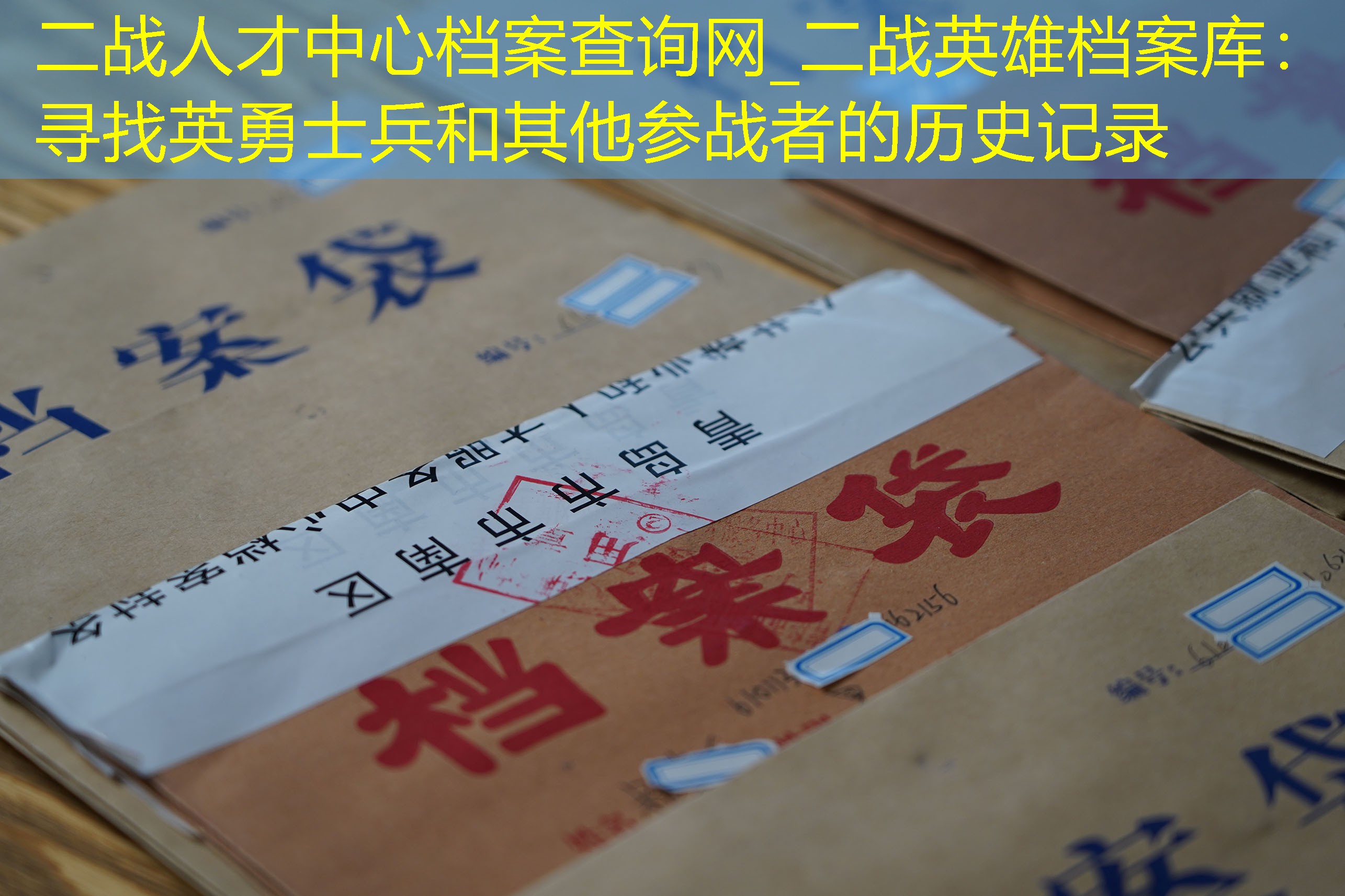 档案查询