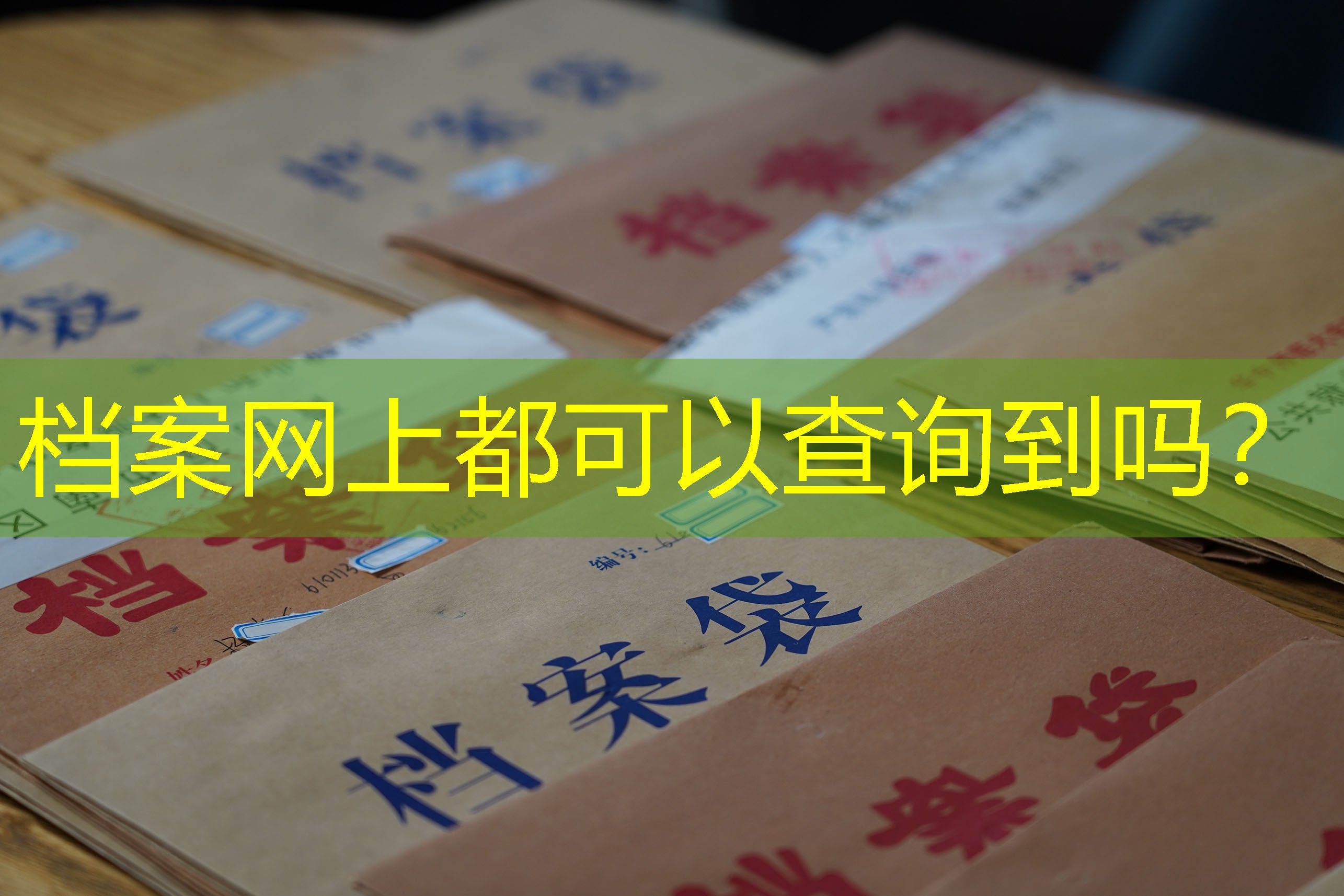 档案查询
