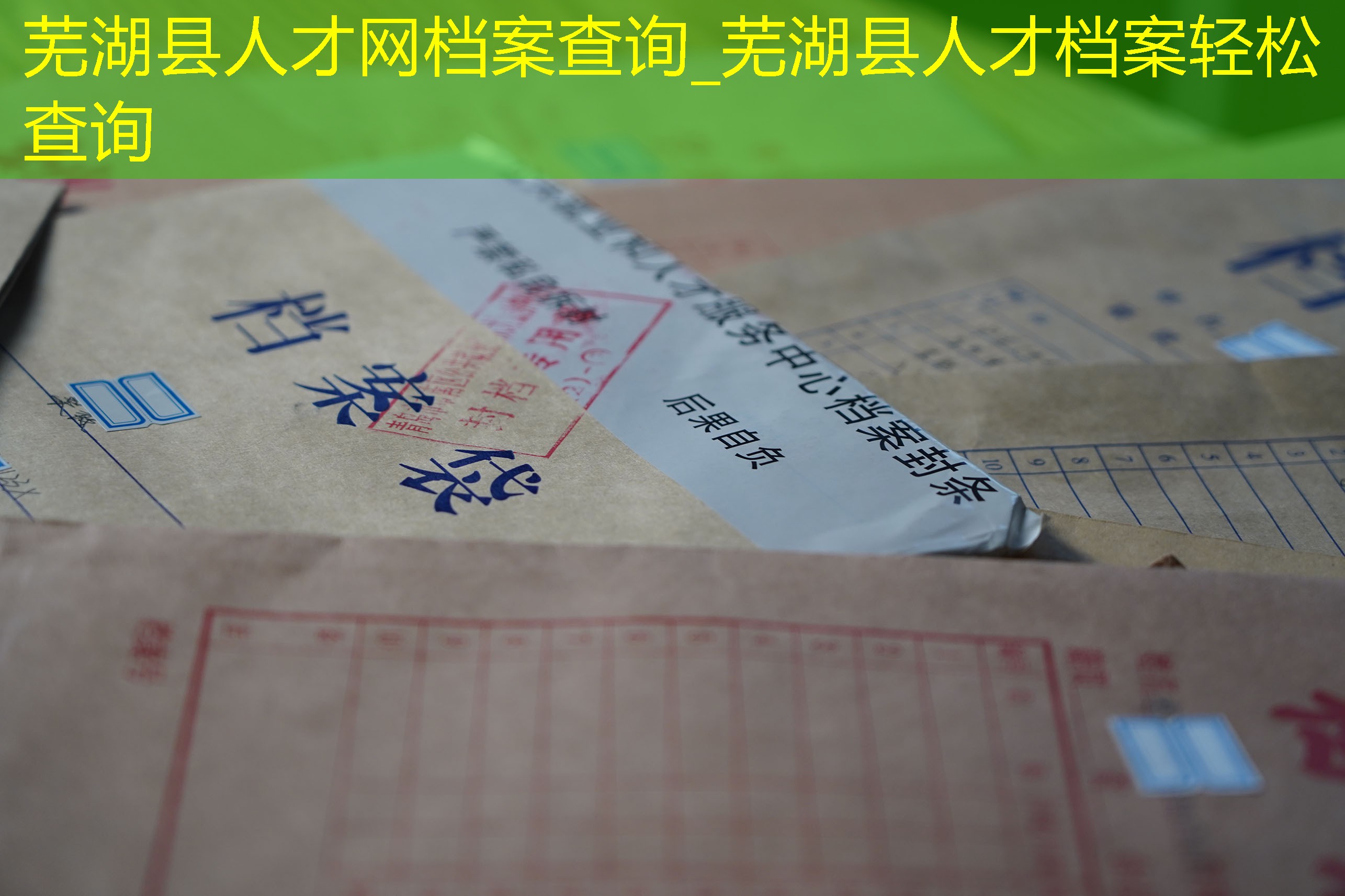 档案查询