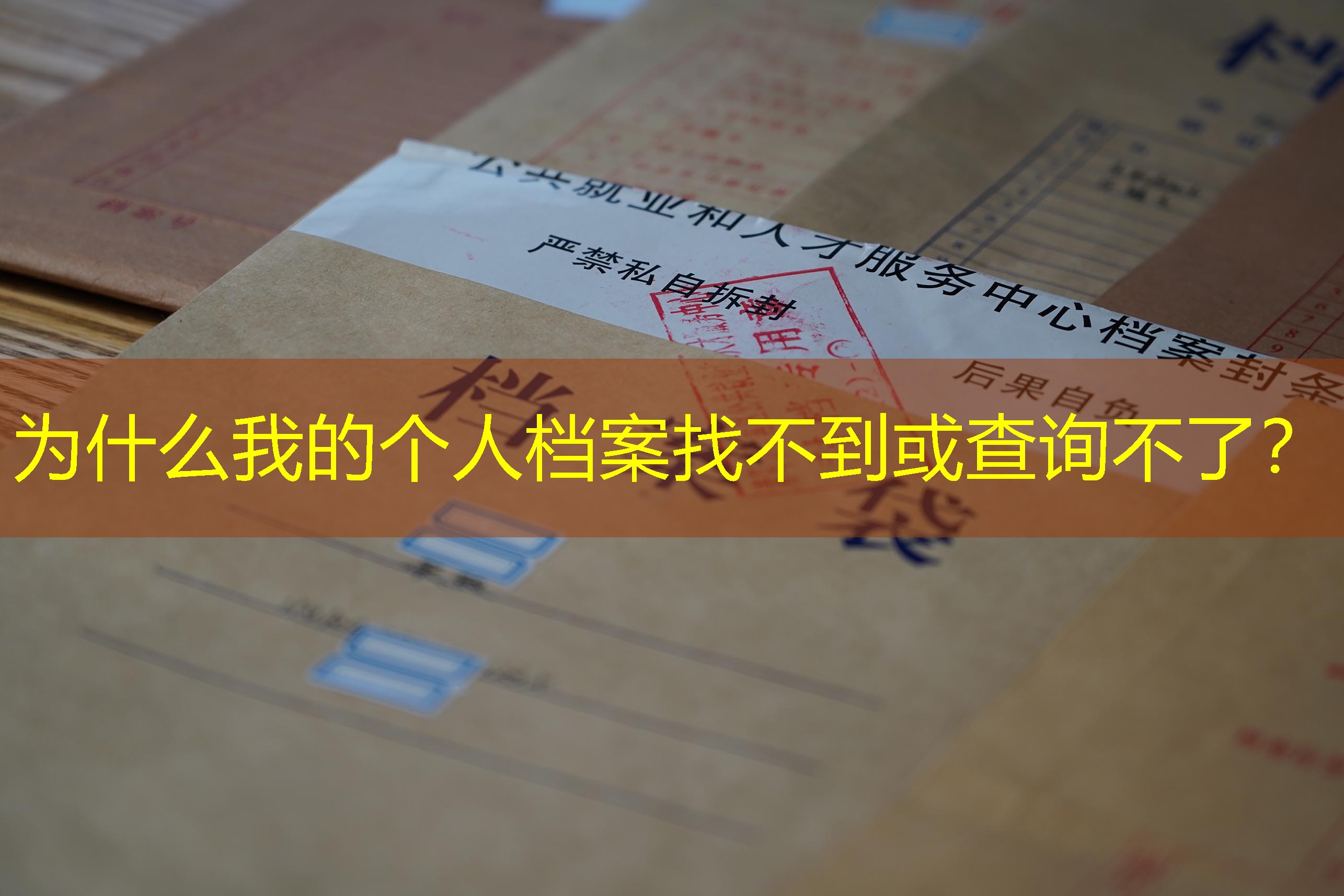 档案查询