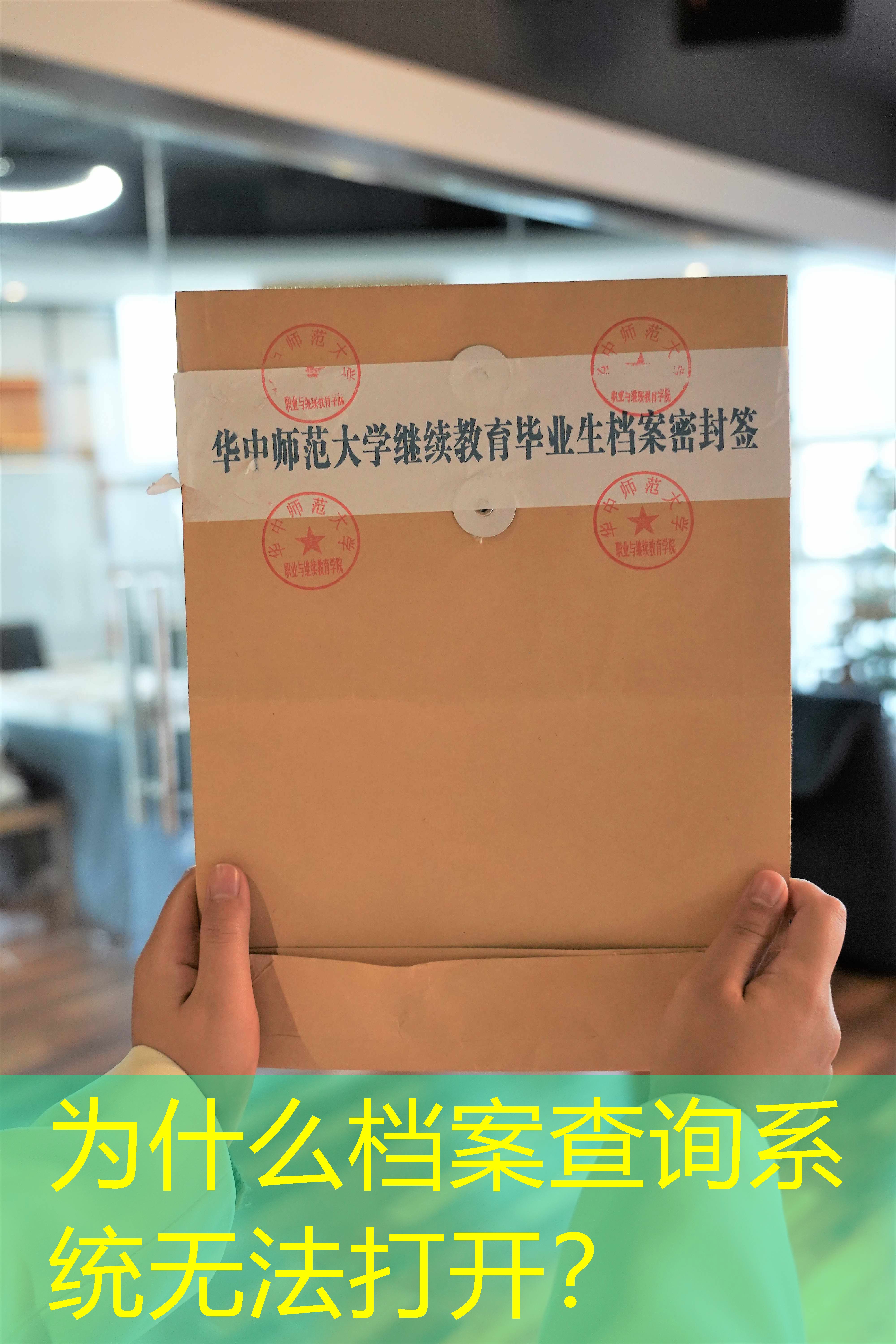 档案查询