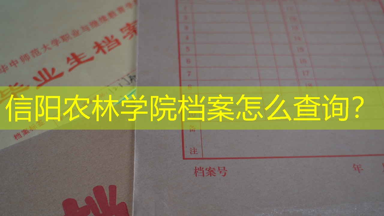 档案查询