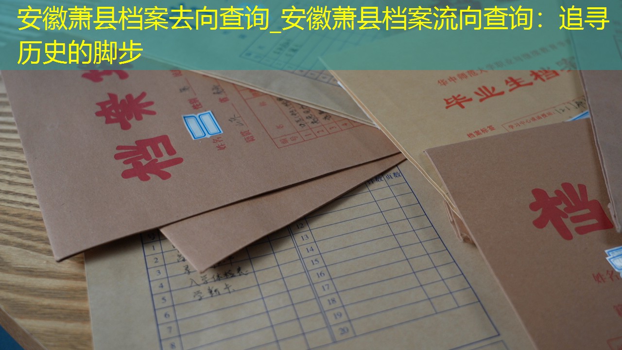 档案查询