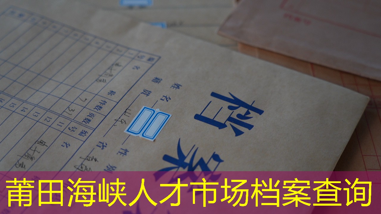 档案查询