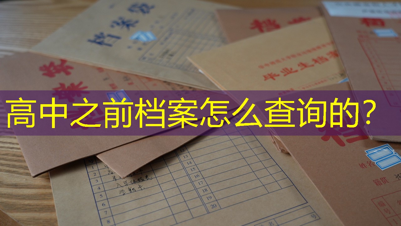 档案查询