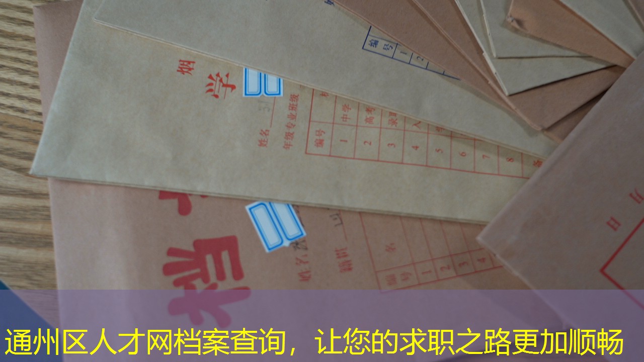 档案查询