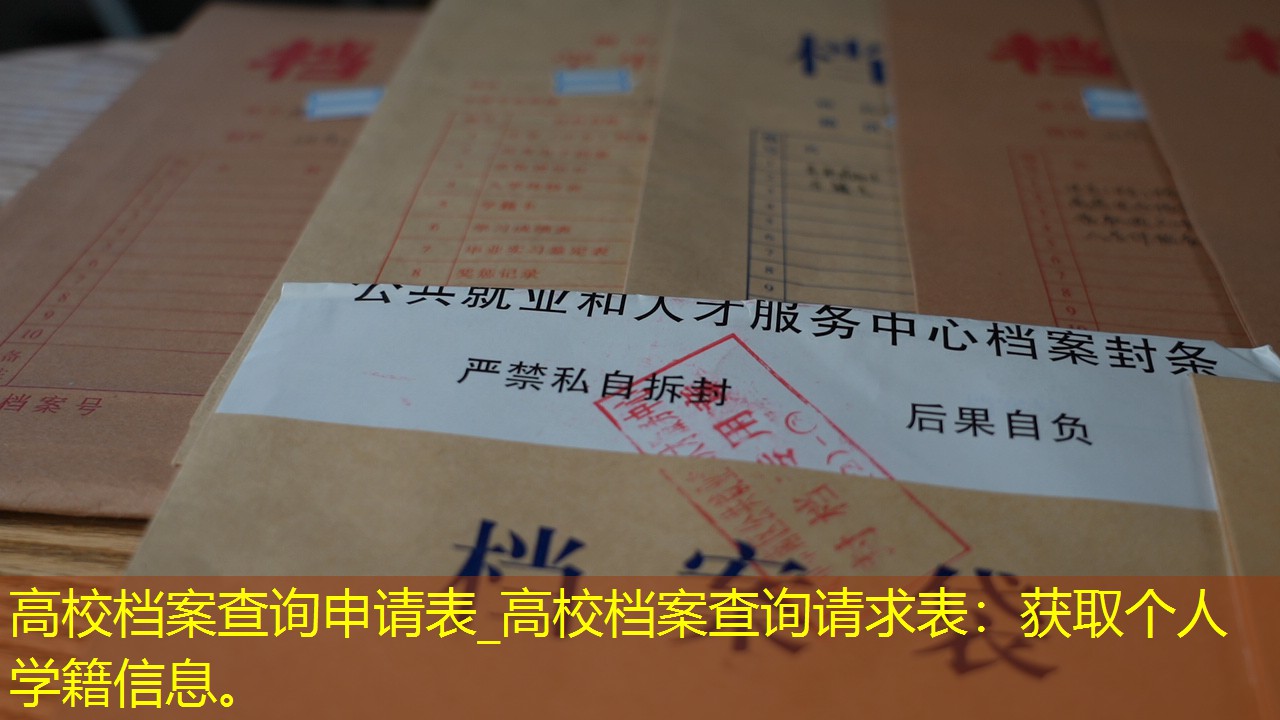 档案查询